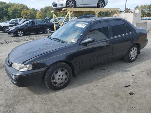 TOYOTA COROLLA VE 1999 2t1br18e9xc231693