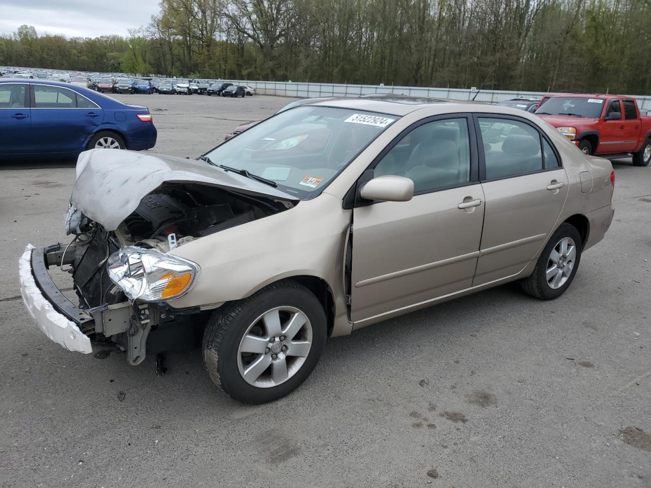 TOYOTA COROLLA 2005 2t1br30e85c438788