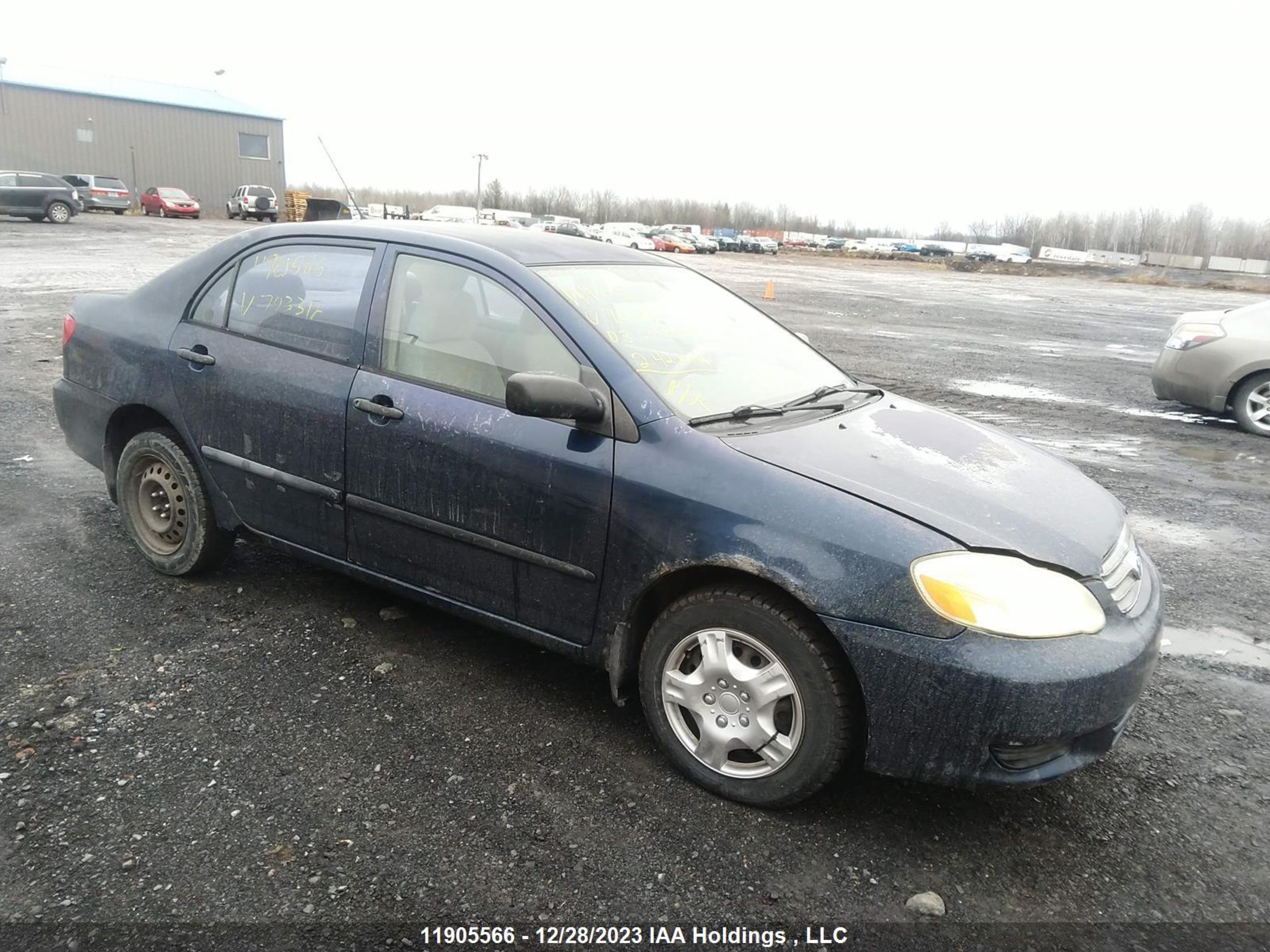 TOYOTA COROLLA 2003 2t1br32e03c703312