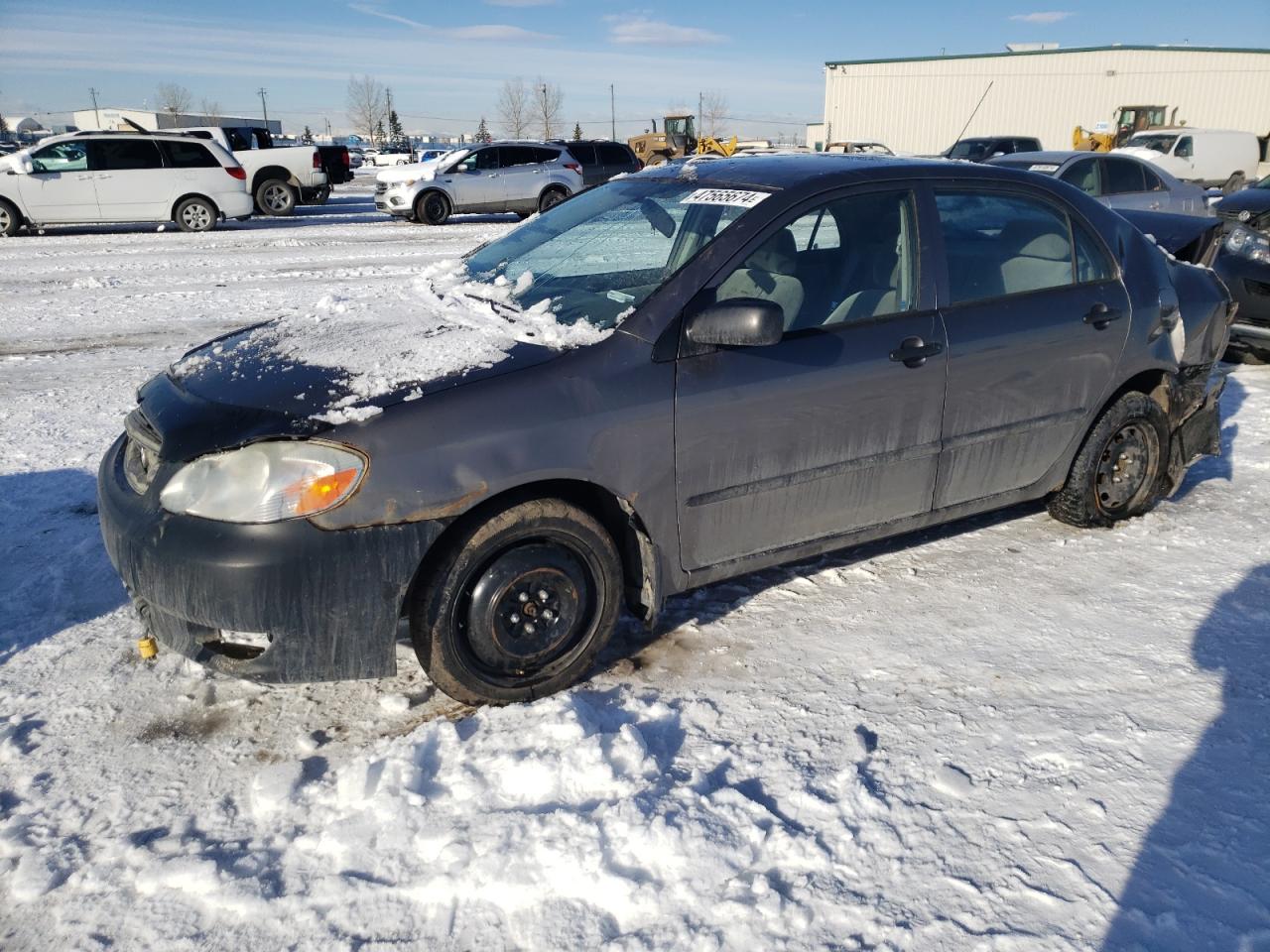 TOYOTA COROLLA 2003 2t1br32e03c713452