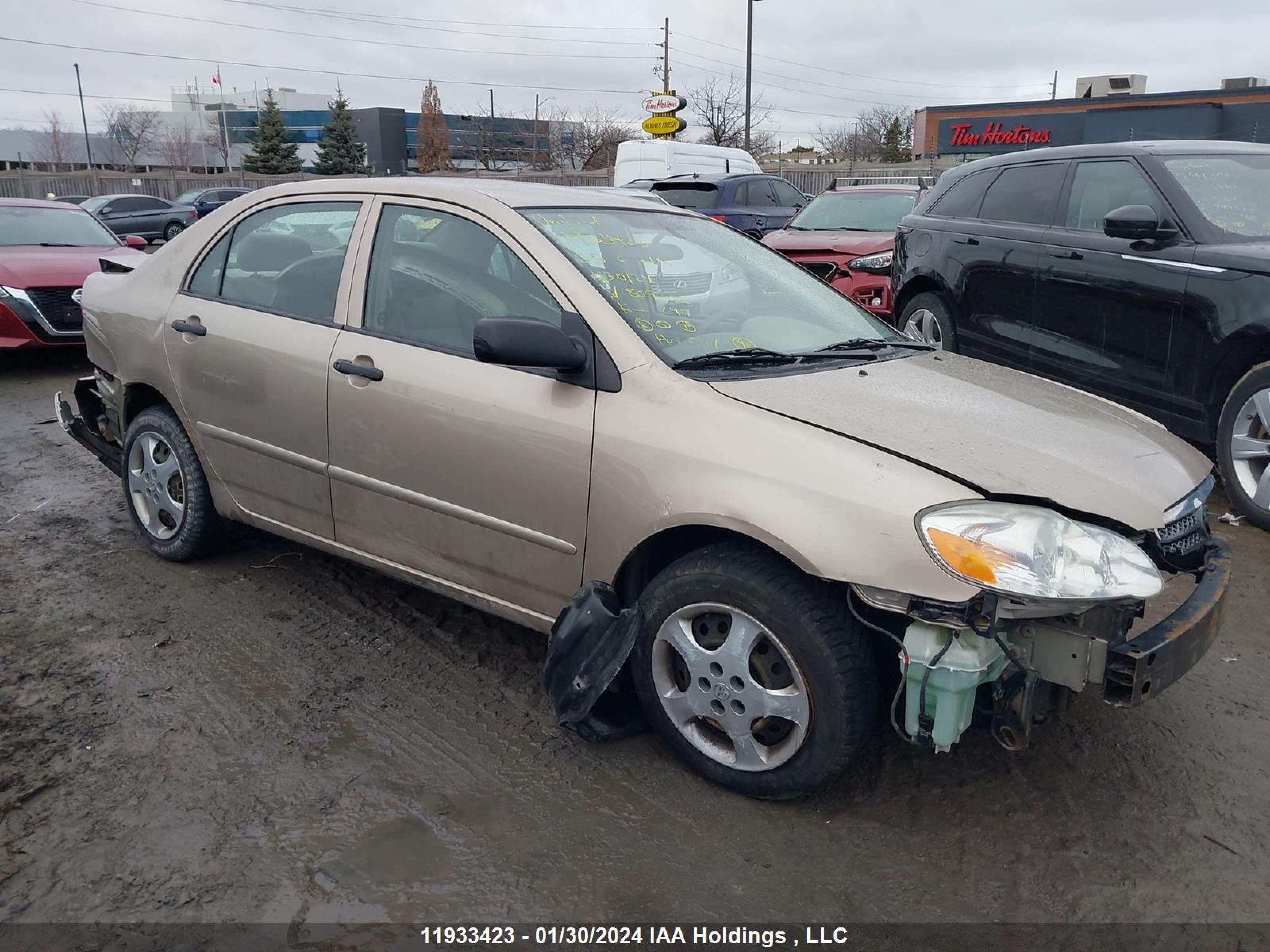 TOYOTA COROLLA 2005 2t1br32e05c869302