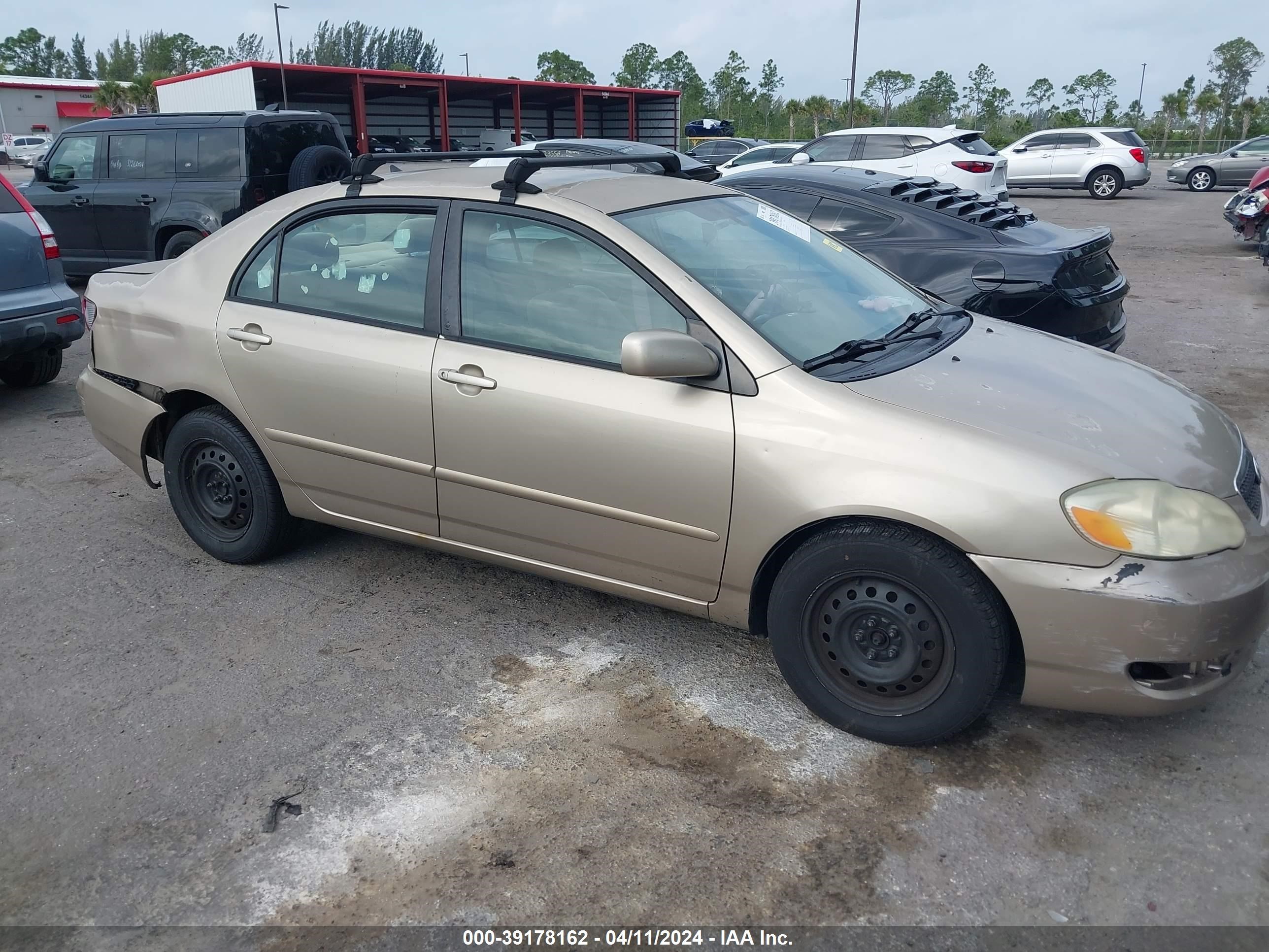 TOYOTA COROLLA 2006 2t1br32e06c625358