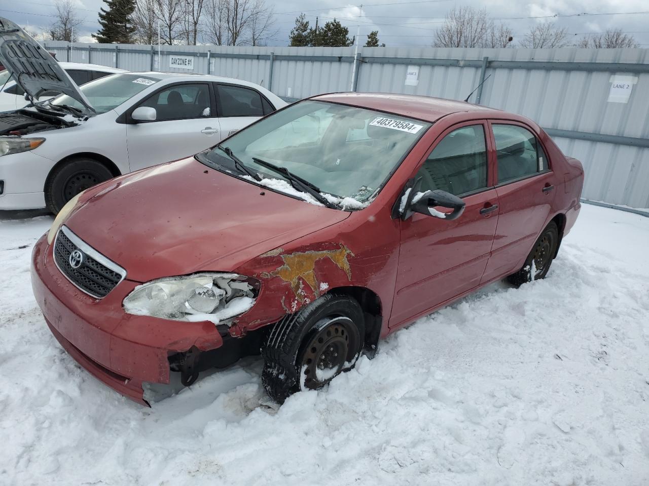 TOYOTA COROLLA 2006 2t1br32e06c642256