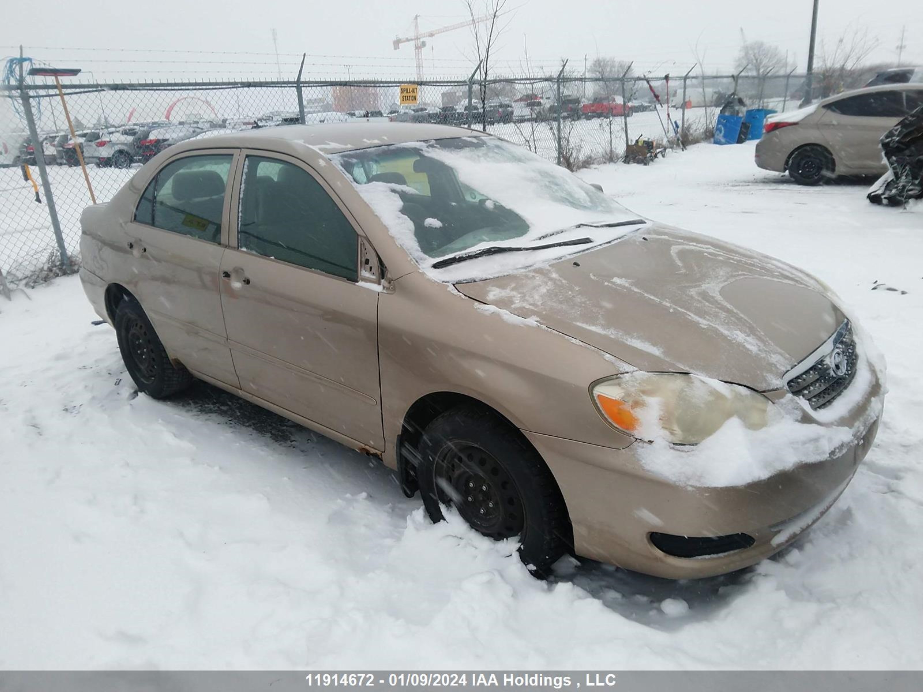 TOYOTA COROLLA 2006 2t1br32e16c598834