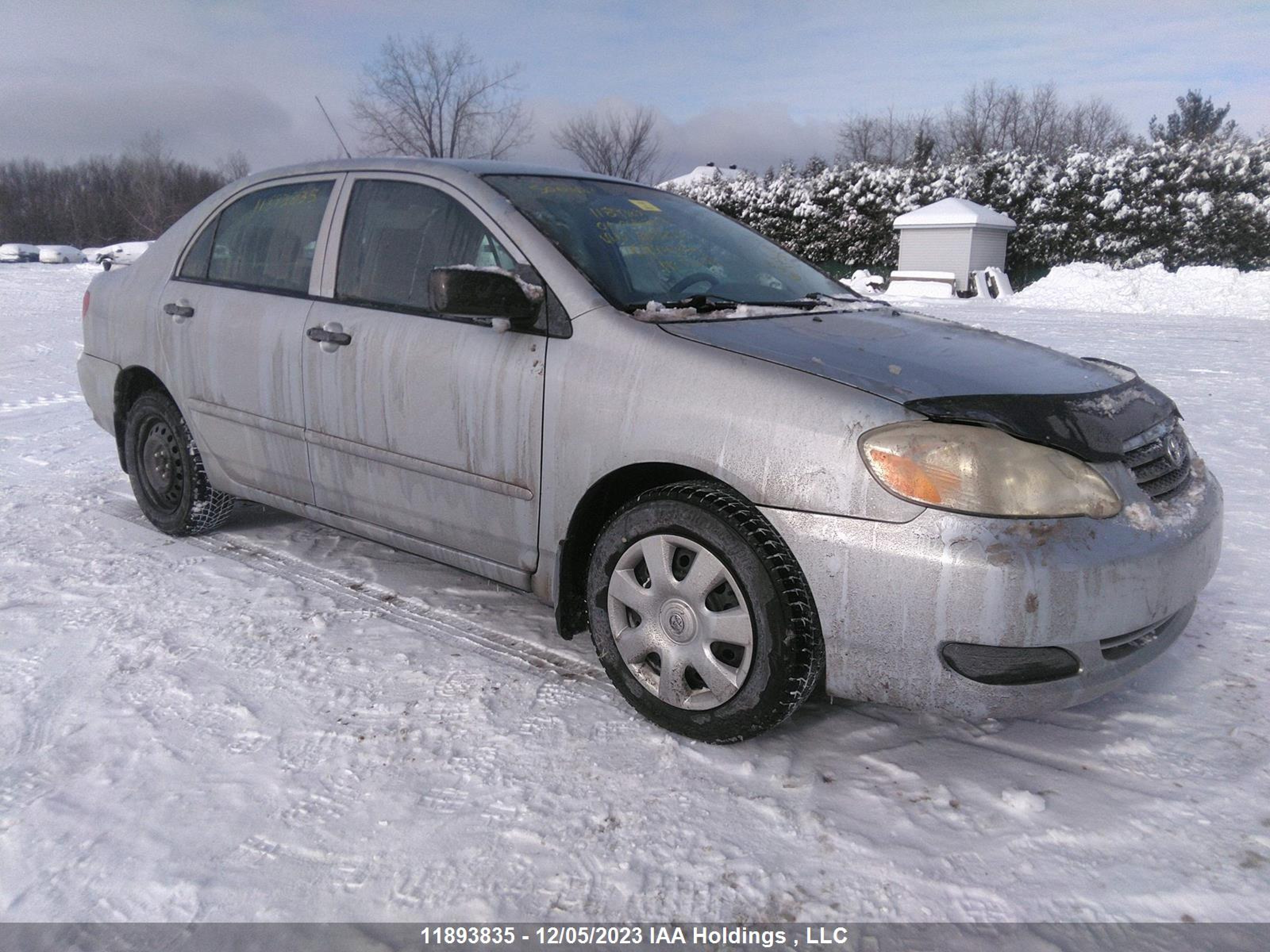 TOYOTA COROLLA 2006 2t1br32e16c663892