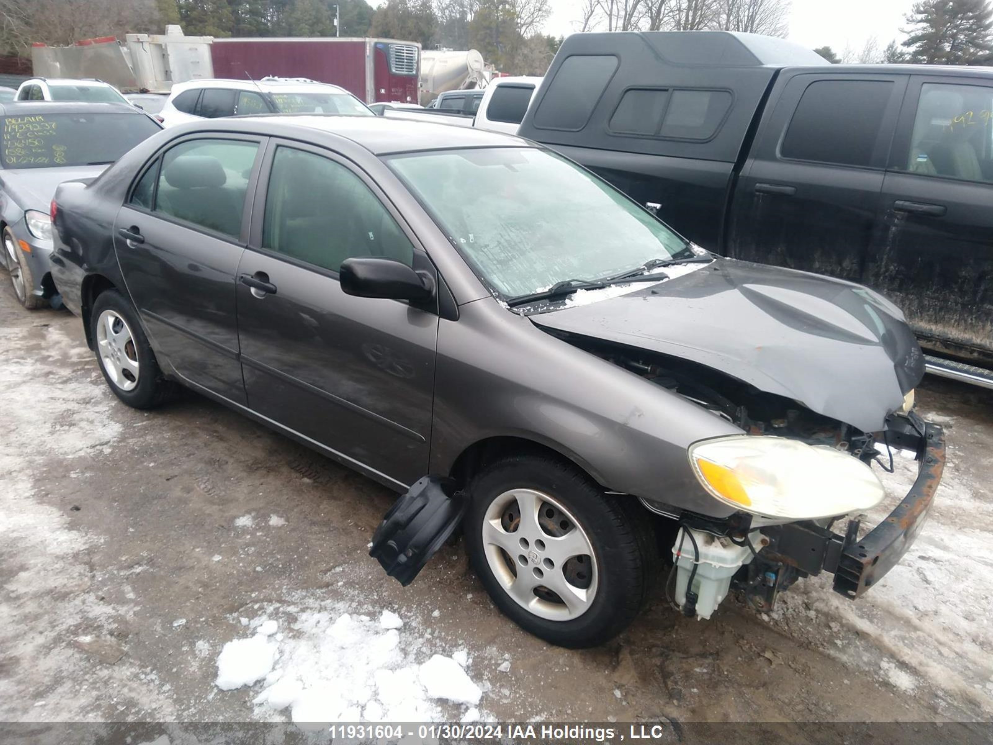 TOYOTA COROLLA 2006 2t1br32e16c693586