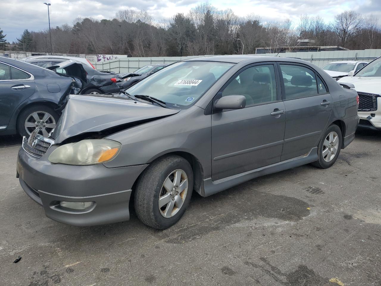 TOYOTA COROLLA 2005 2t1br32e25c398446