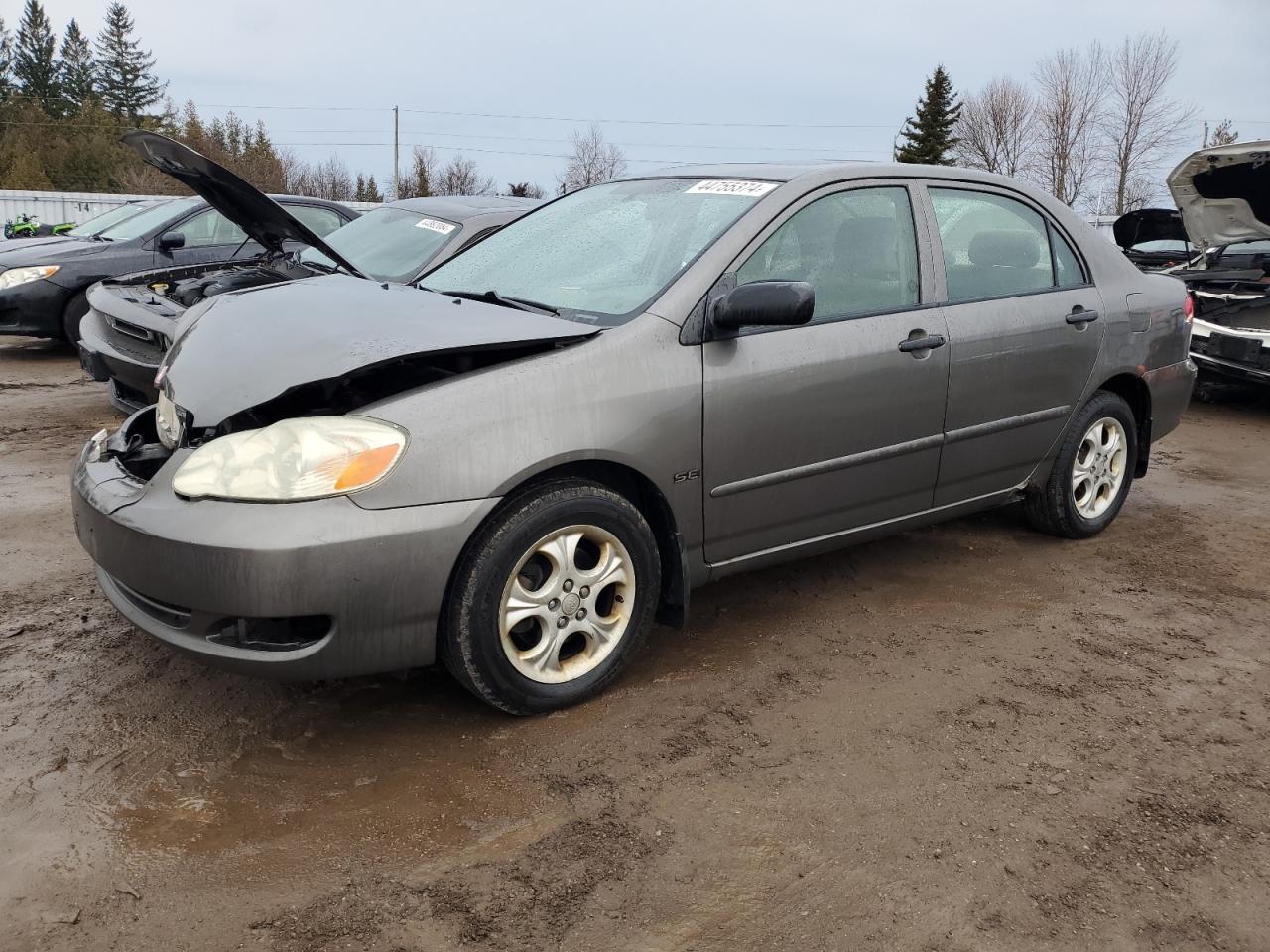 TOYOTA COROLLA 2005 2t1br32e25c923778