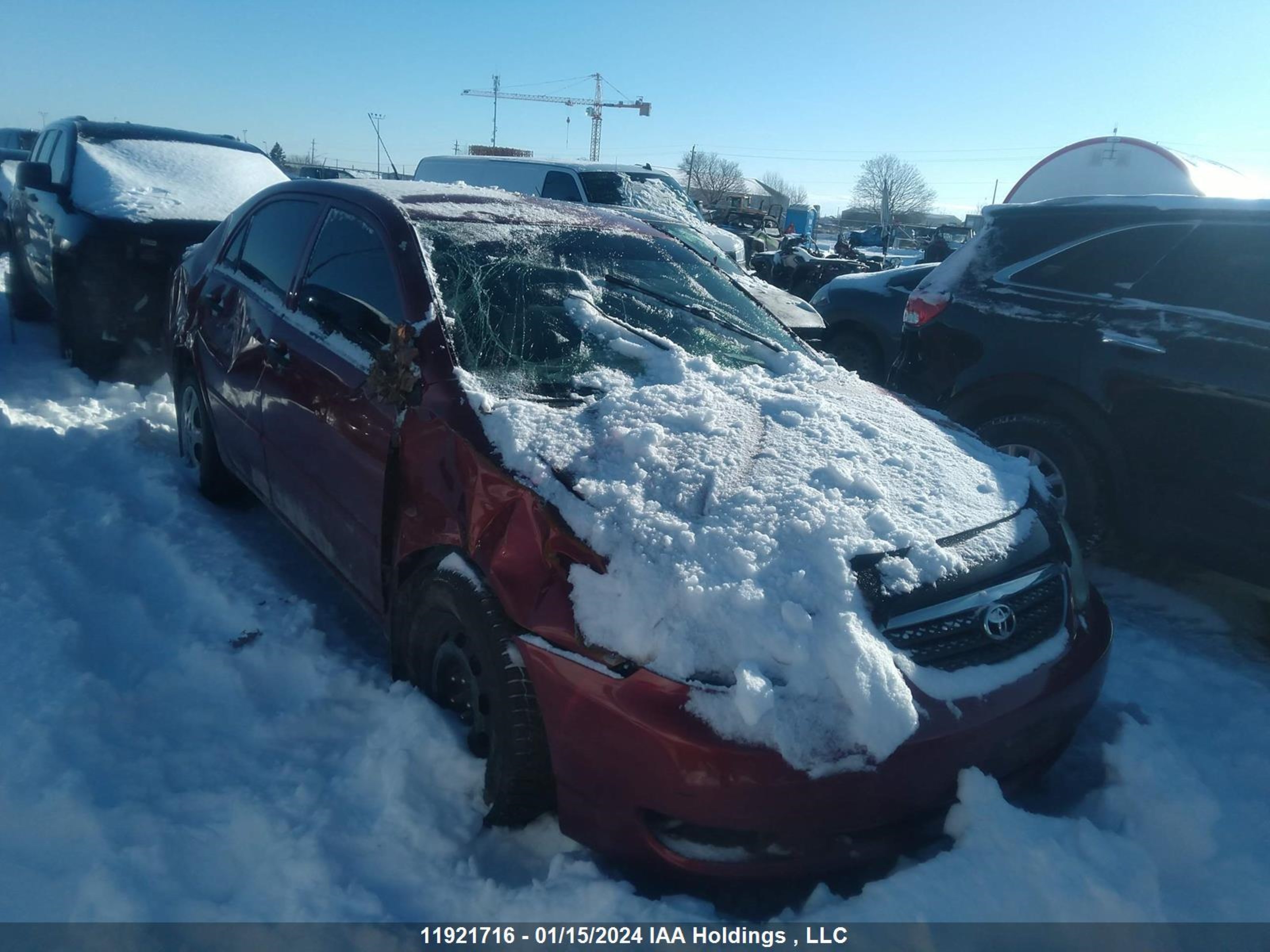 TOYOTA COROLLA 2006 2t1br32e26c697954