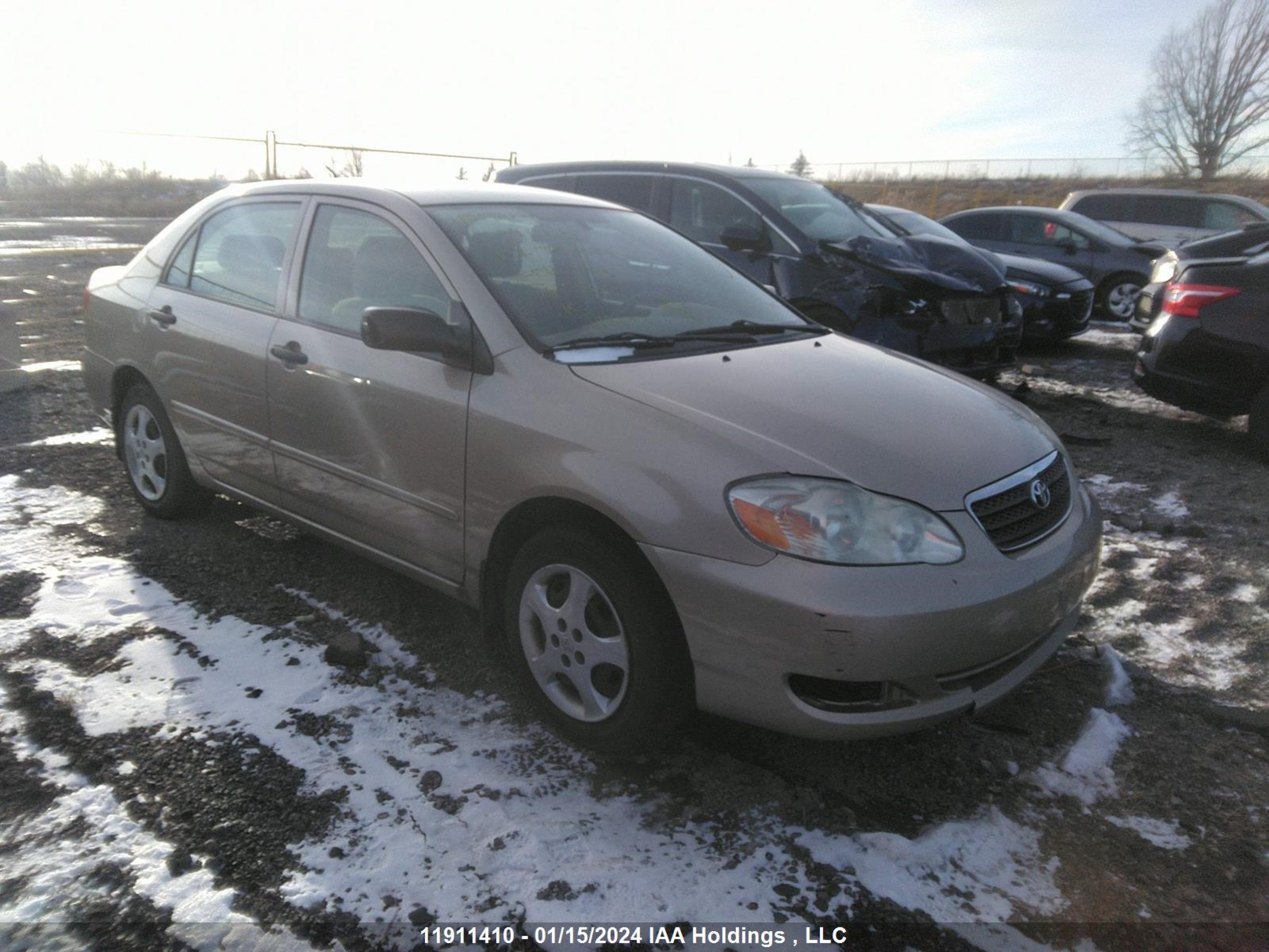 TOYOTA COROLLA 2007 2t1br32e27c715564