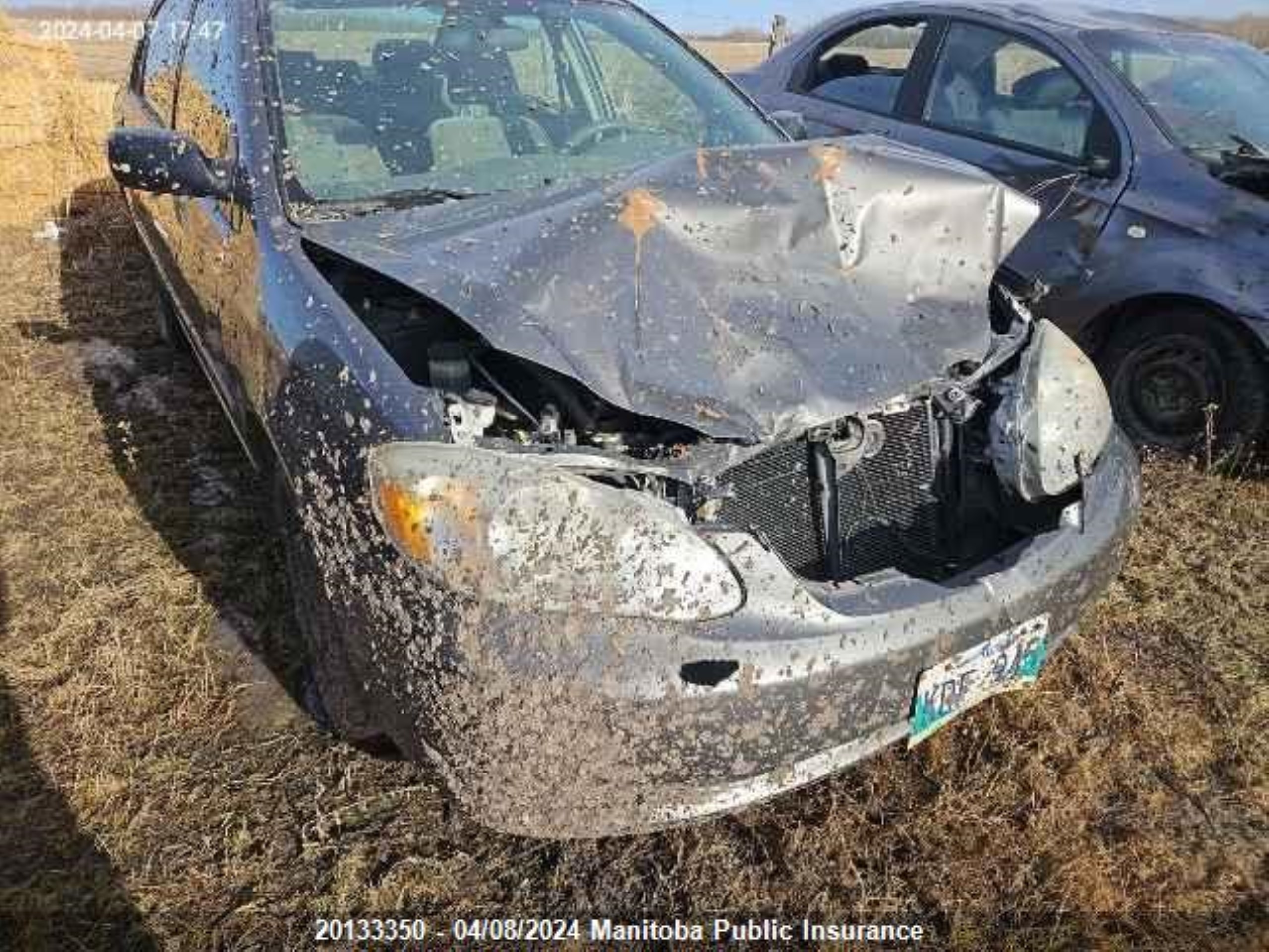 TOYOTA COROLLA 2008 2t1br32e28c861299