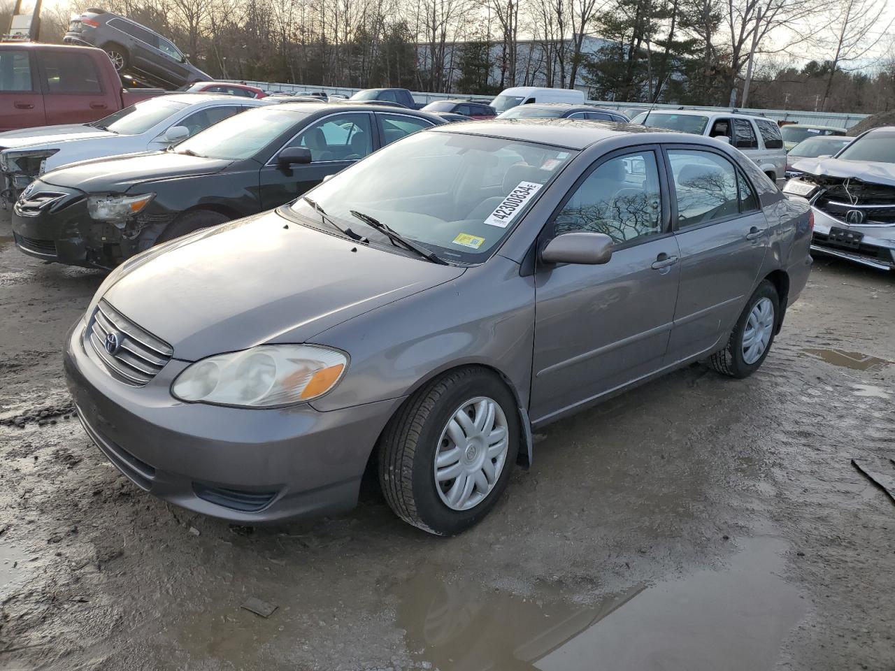 TOYOTA COROLLA 2004 2t1br32e34c251938