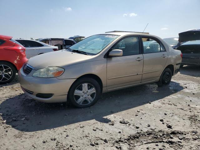 TOYOTA COROLLA 2006 2t1br32e36c589004