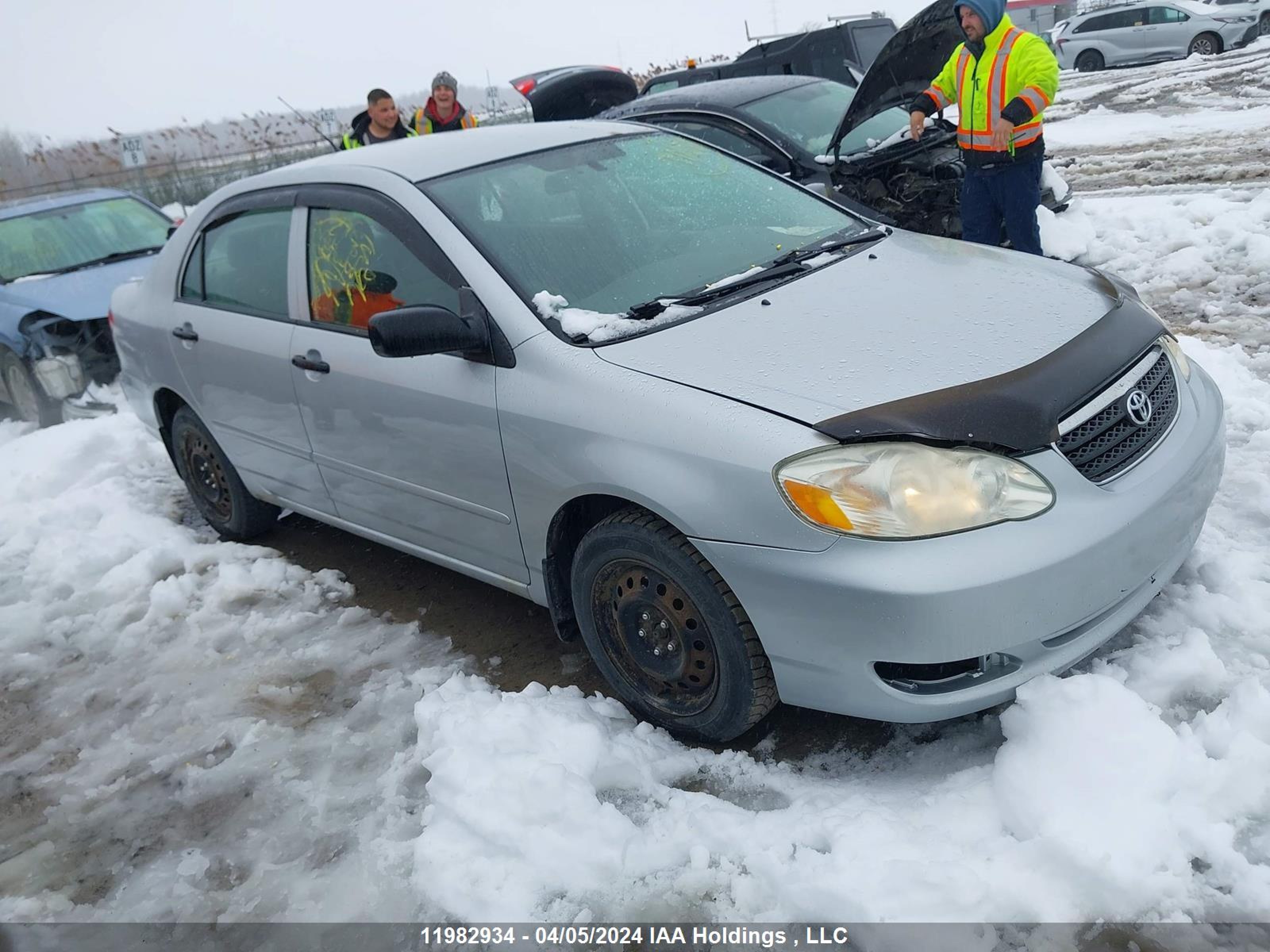 TOYOTA COROLLA 2006 2t1br32e36c619988