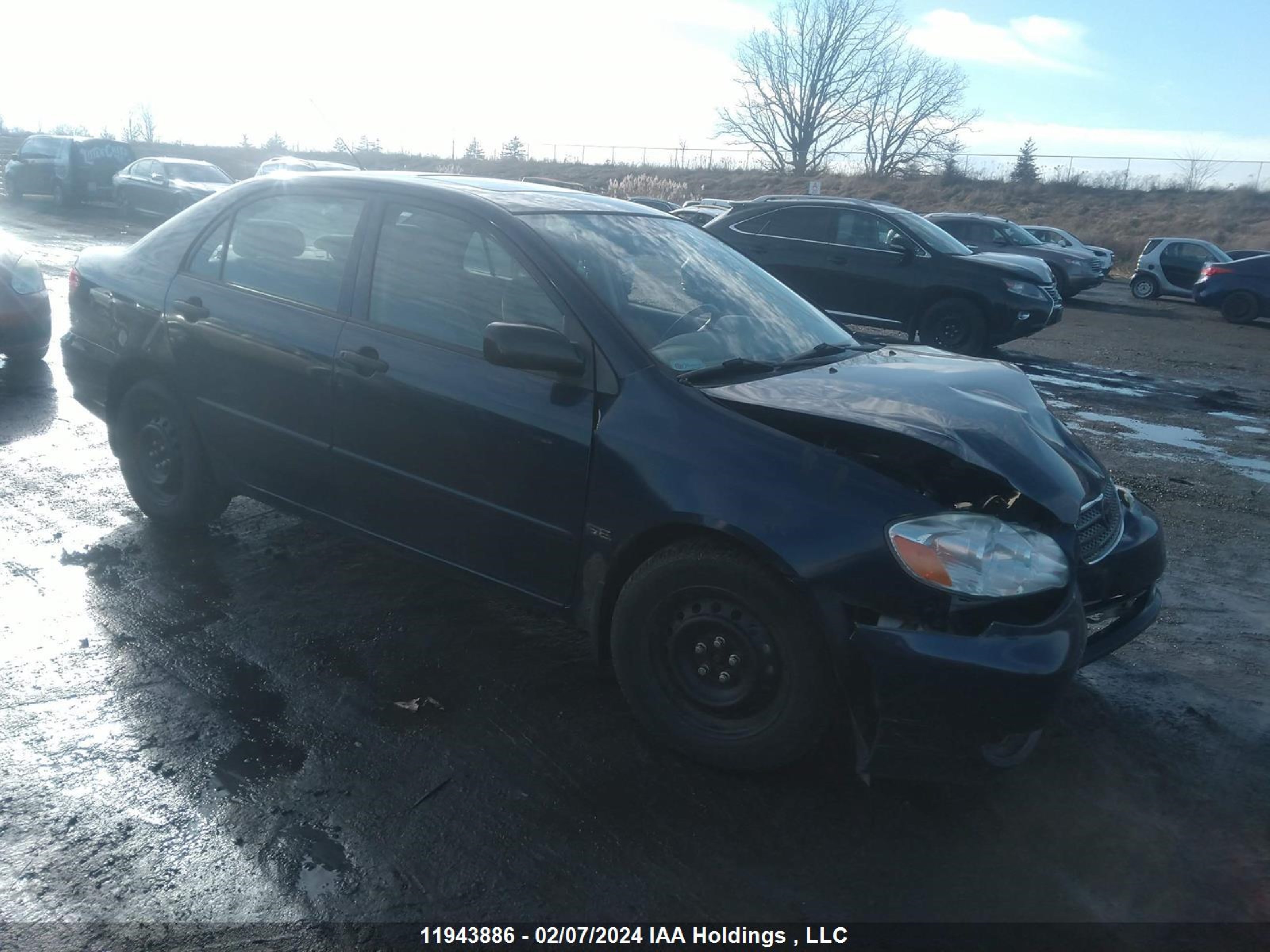 TOYOTA COROLLA 2006 2t1br32e36c702465