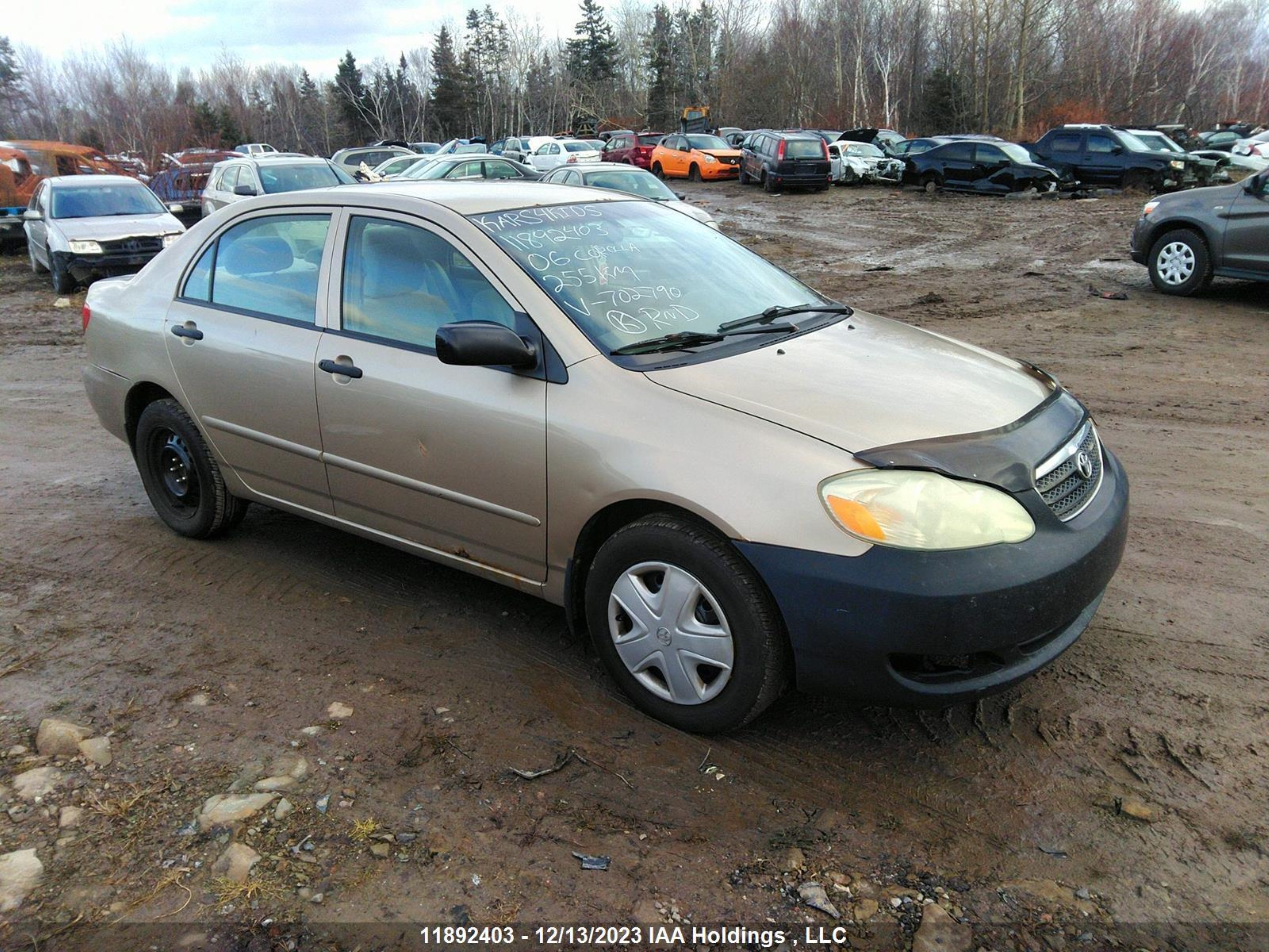 TOYOTA COROLLA 2006 2t1br32e36c702790