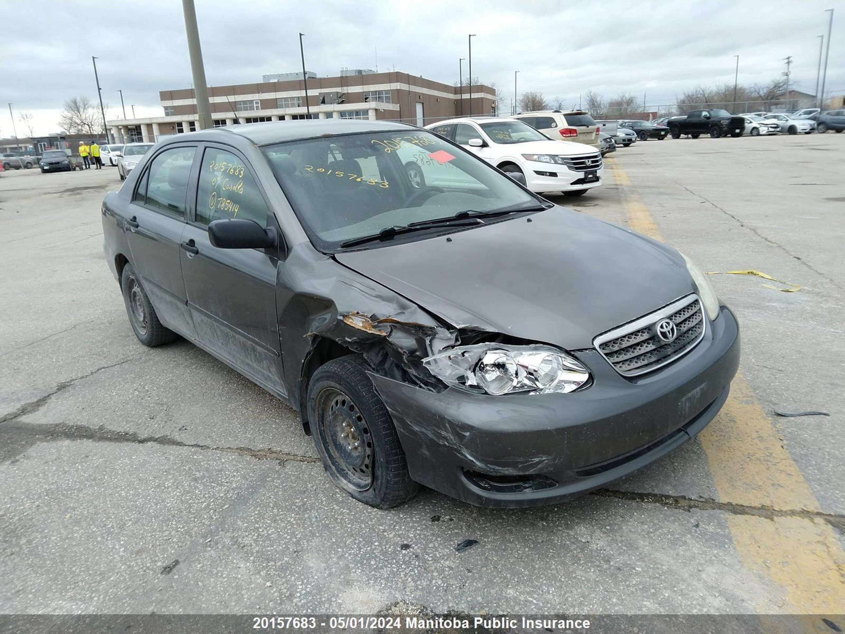 TOYOTA COROLLA 2007 2t1br32e37c785414