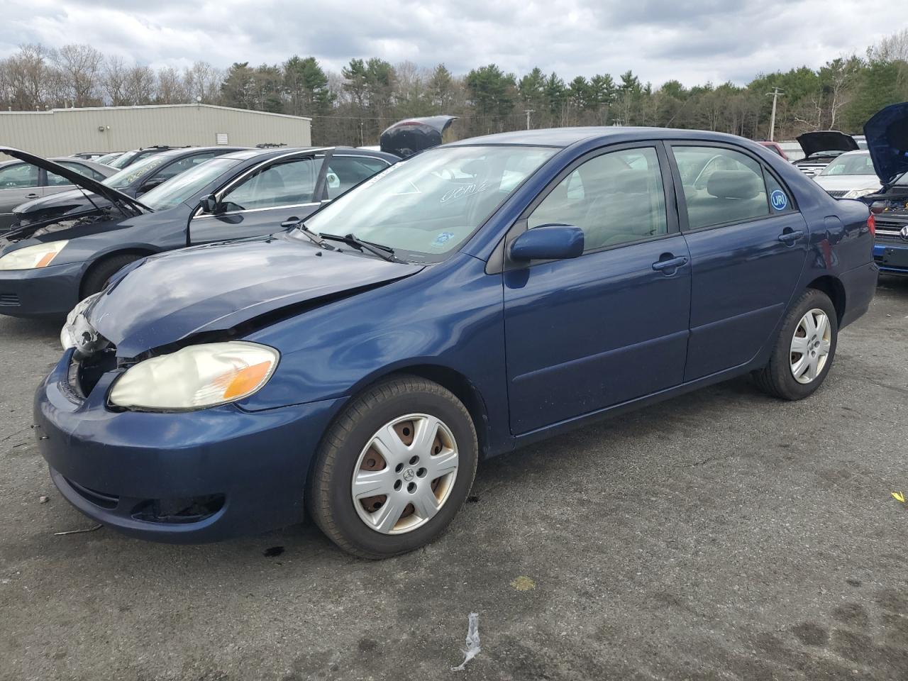 TOYOTA COROLLA 2007 2t1br32e37c843067