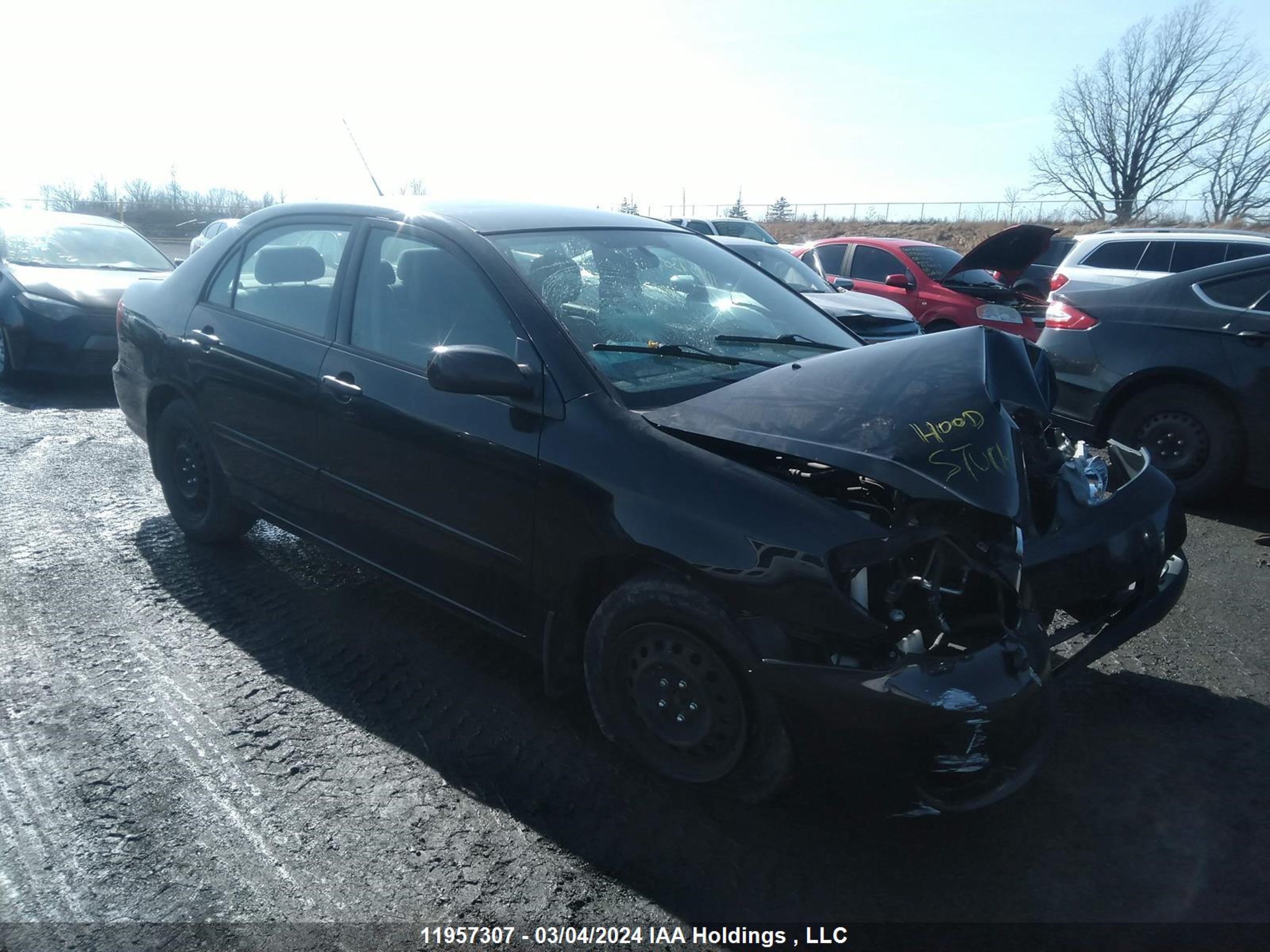 TOYOTA COROLLA 2008 2t1br32e38c884896