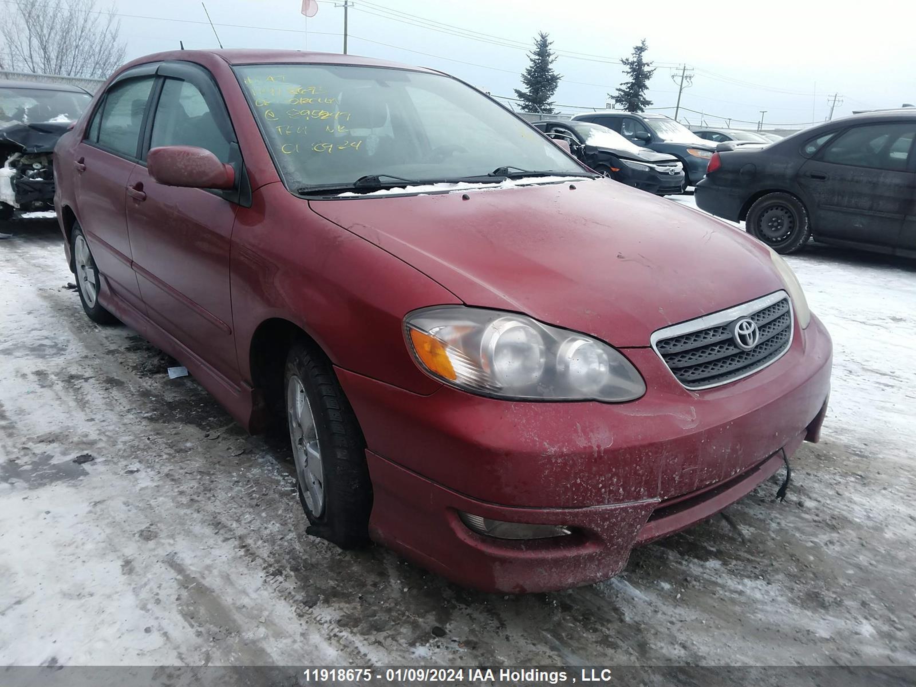 TOYOTA COROLLA 2008 2t1br32e38c895249