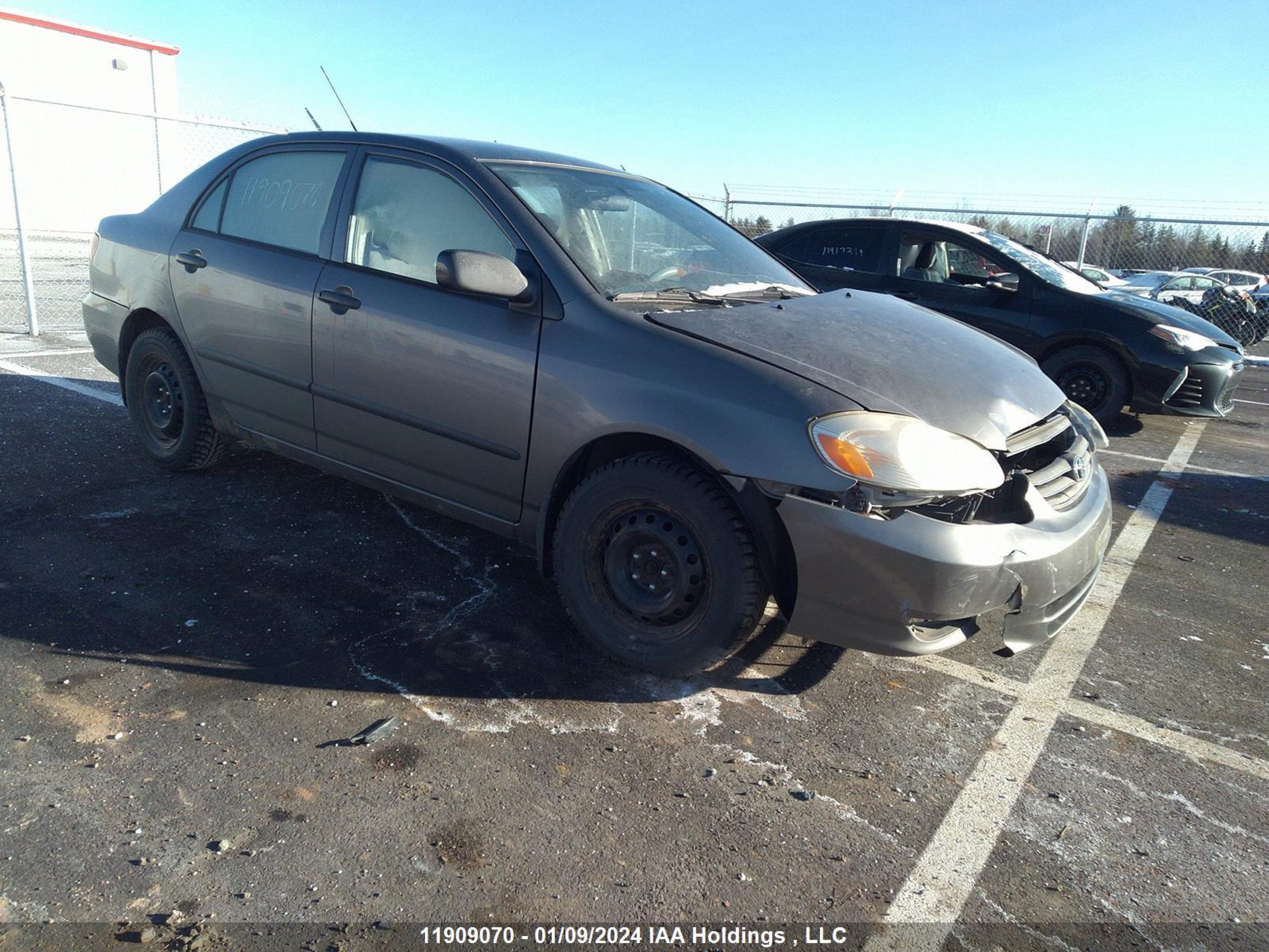 TOYOTA COROLLA 2003 2t1br32e53c746138