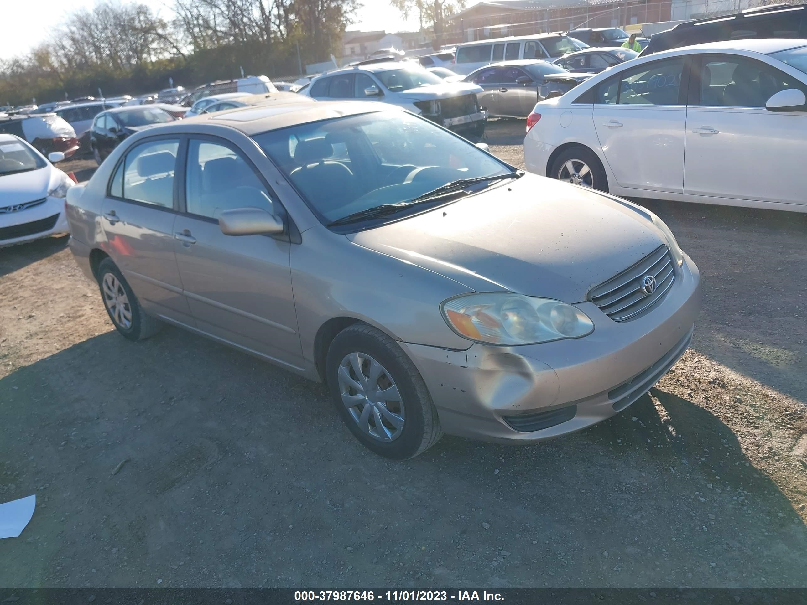 TOYOTA COROLLA 2004 2t1br32e54c171265