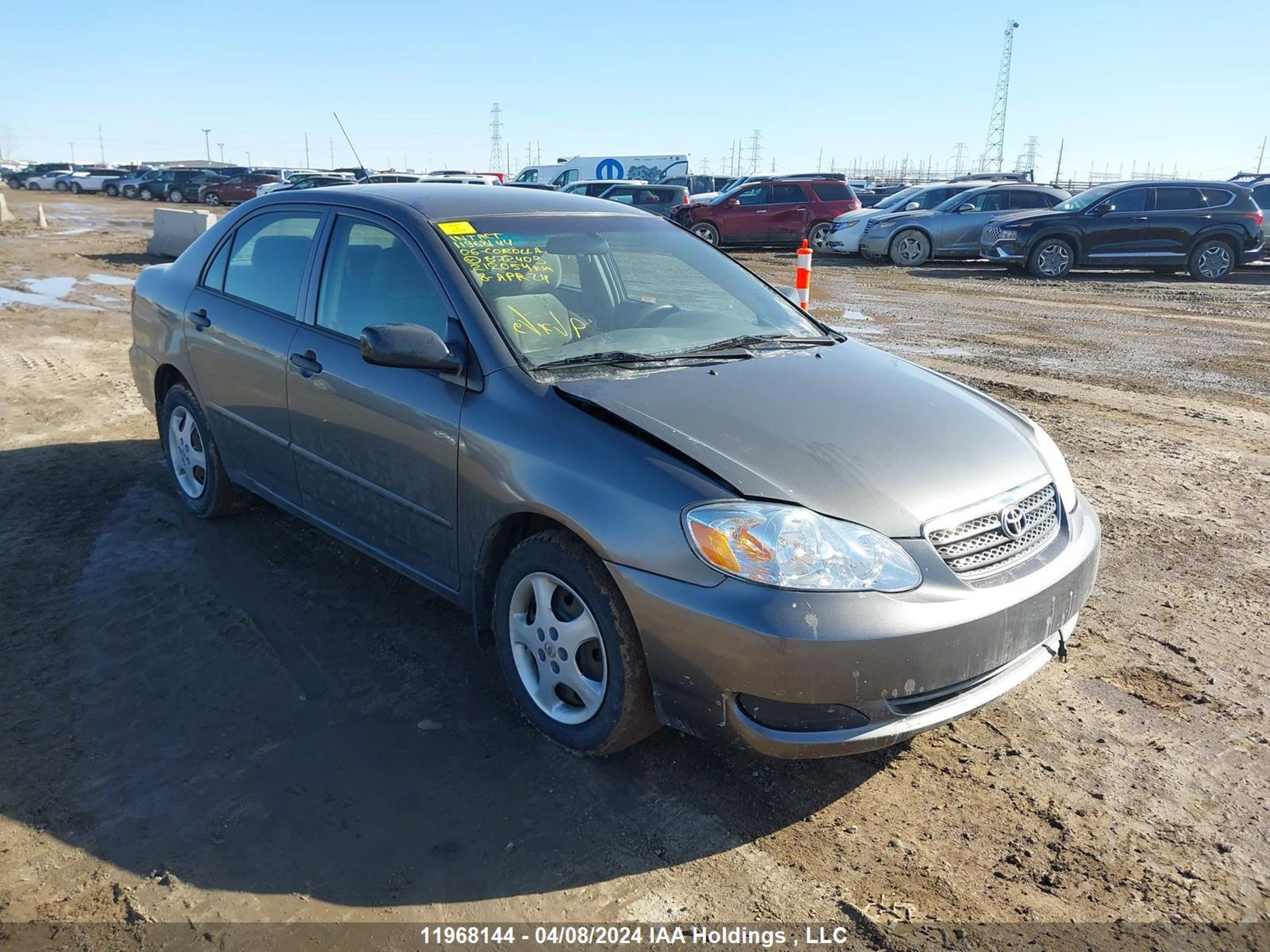 TOYOTA COROLLA 2006 2t1br32e56c672403