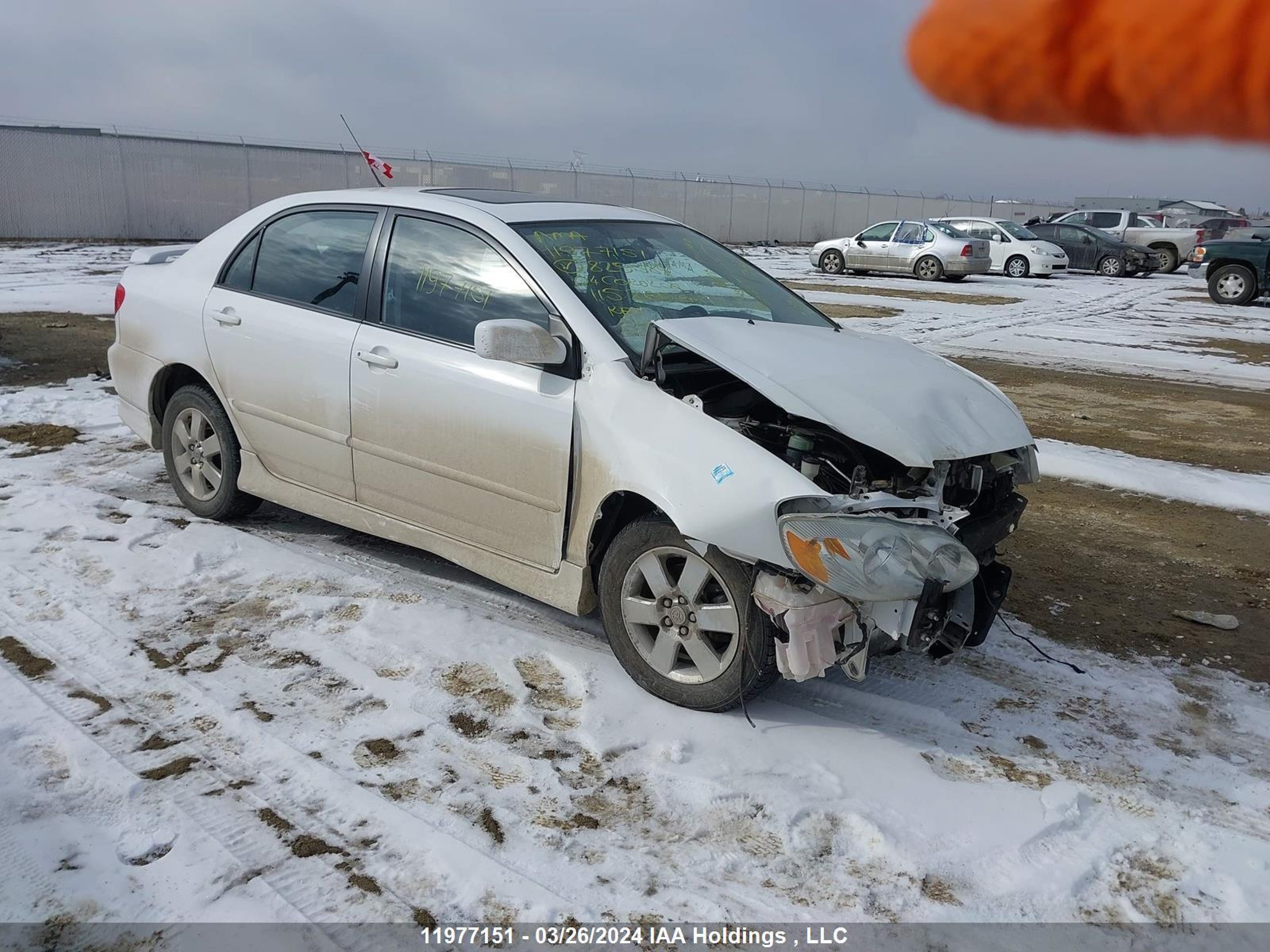 TOYOTA COROLLA 2004 2t1br32e64c829384