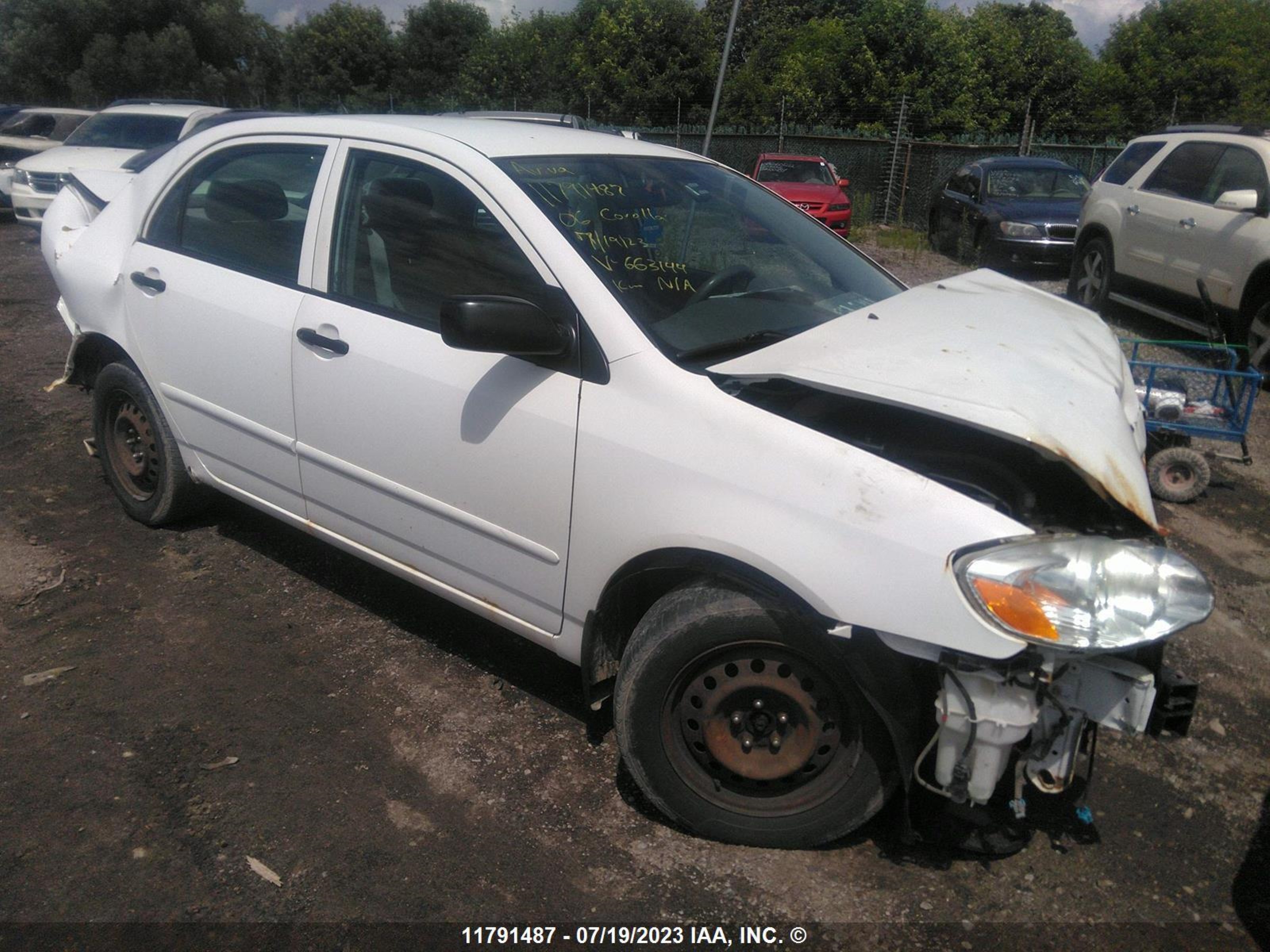 TOYOTA COROLLA 2006 2t1br32e66c663144