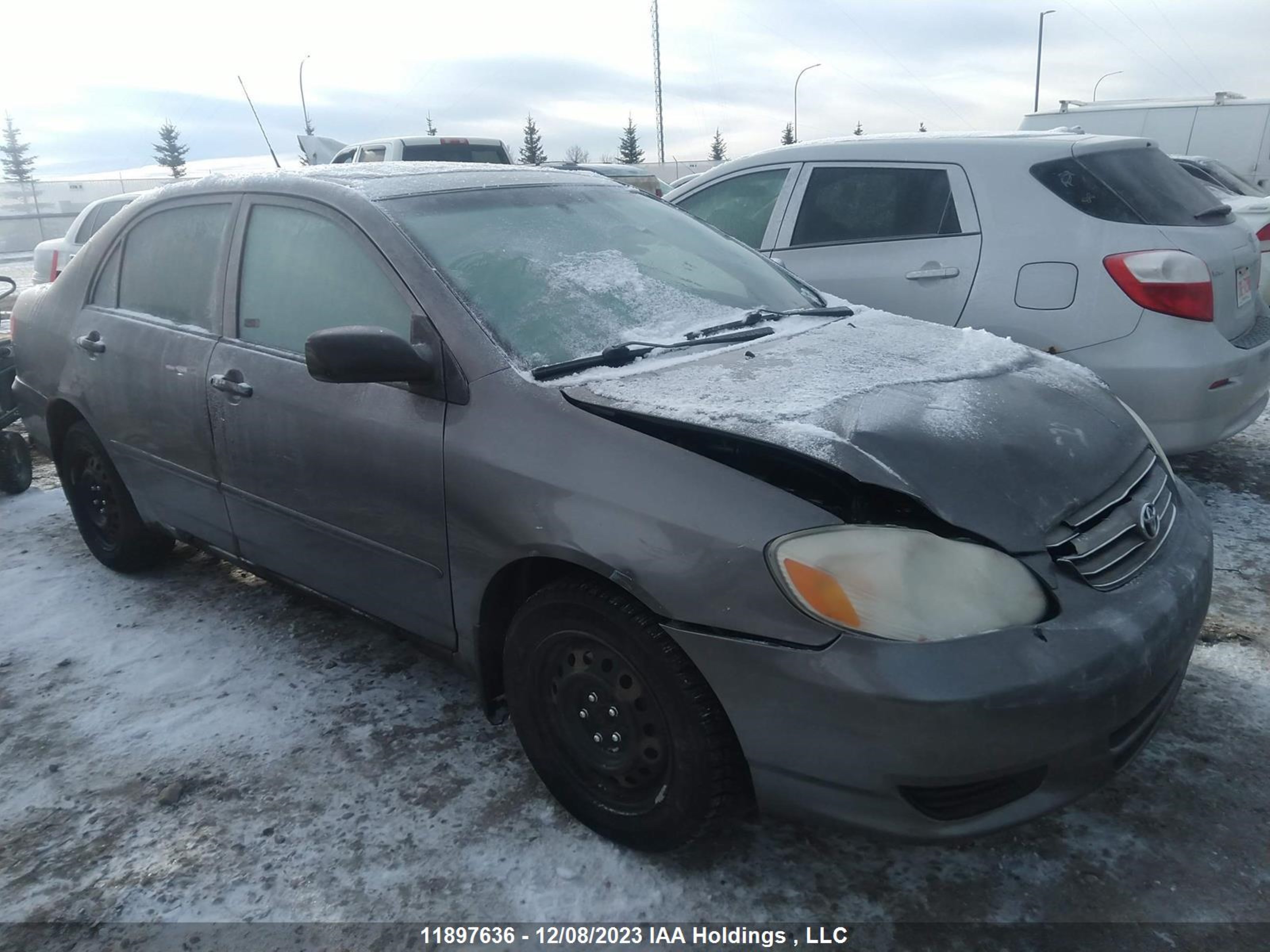 TOYOTA COROLLA 2004 2t1br32e74c836005