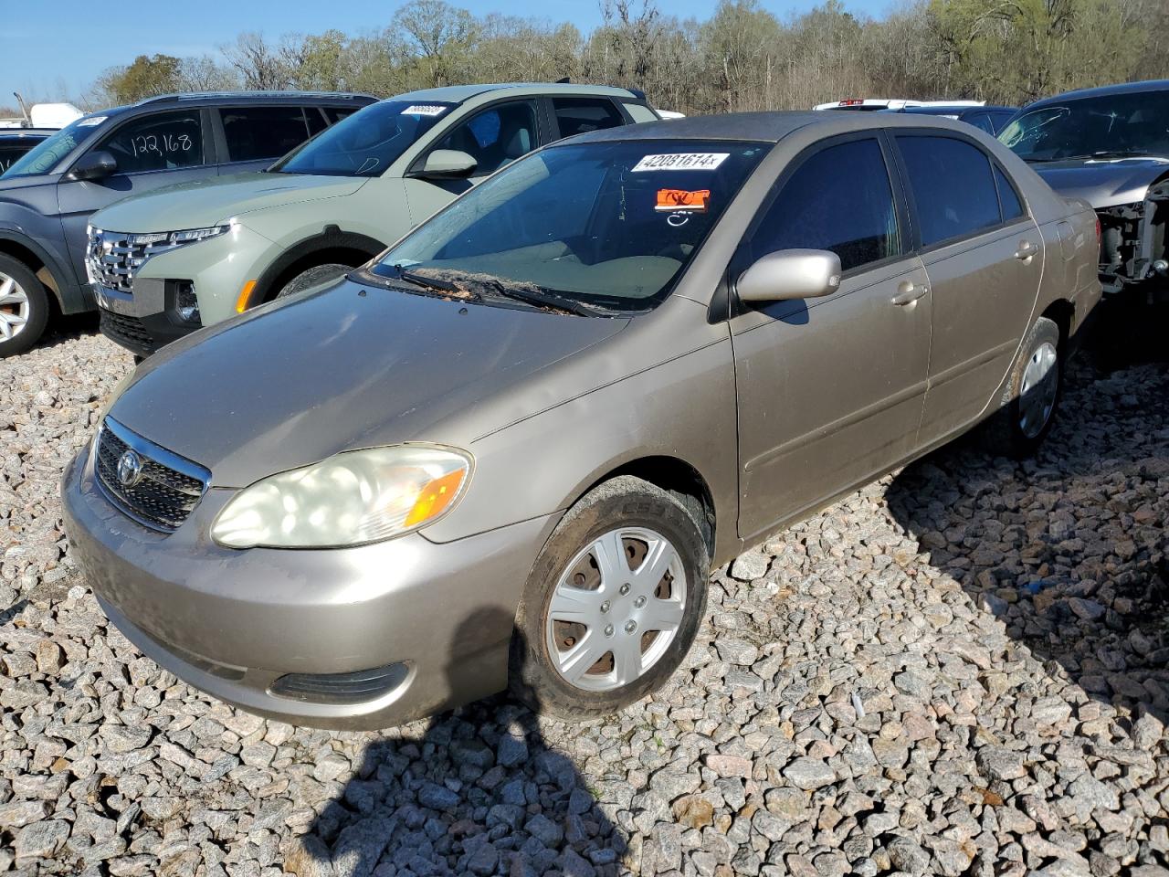 TOYOTA COROLLA 2006 2t1br32e76c617466