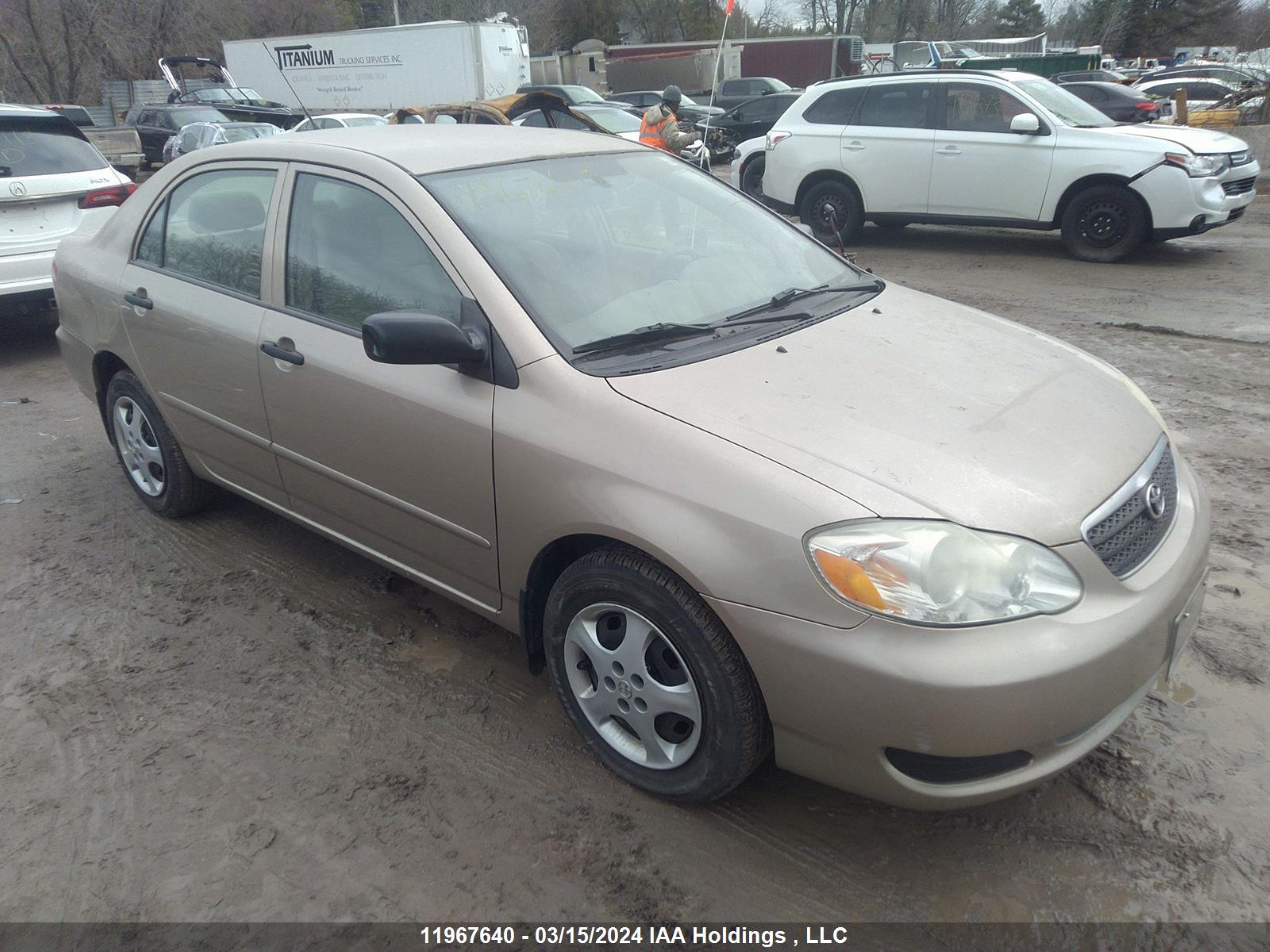 TOYOTA COROLLA 2006 2t1br32e76c703327