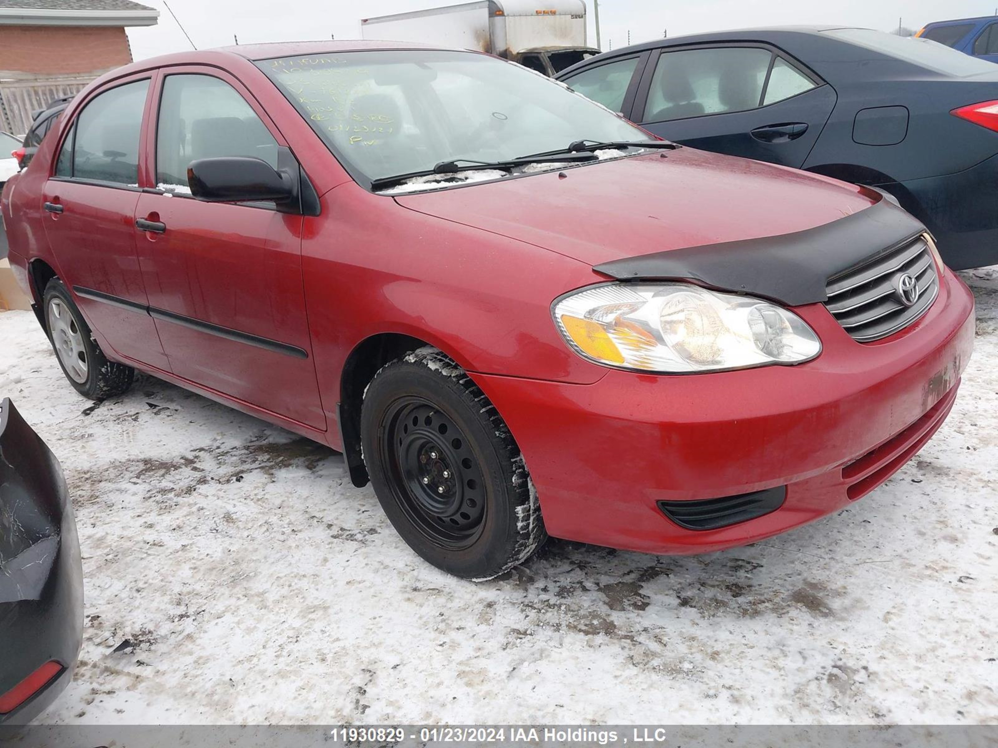 TOYOTA COROLLA 2003 2t1br32e83c761233