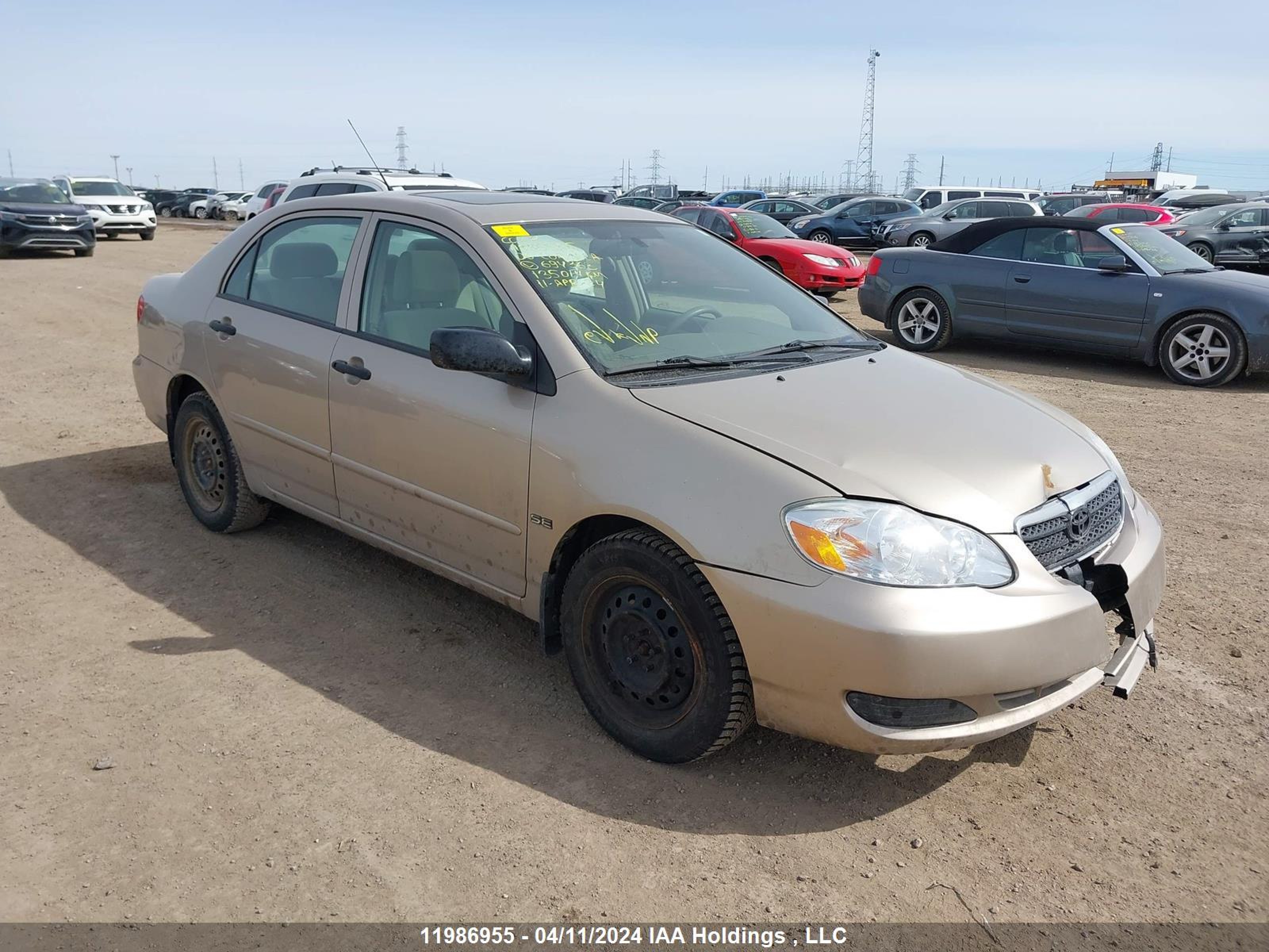 TOYOTA COROLLA 2006 2t1br32e86c694363