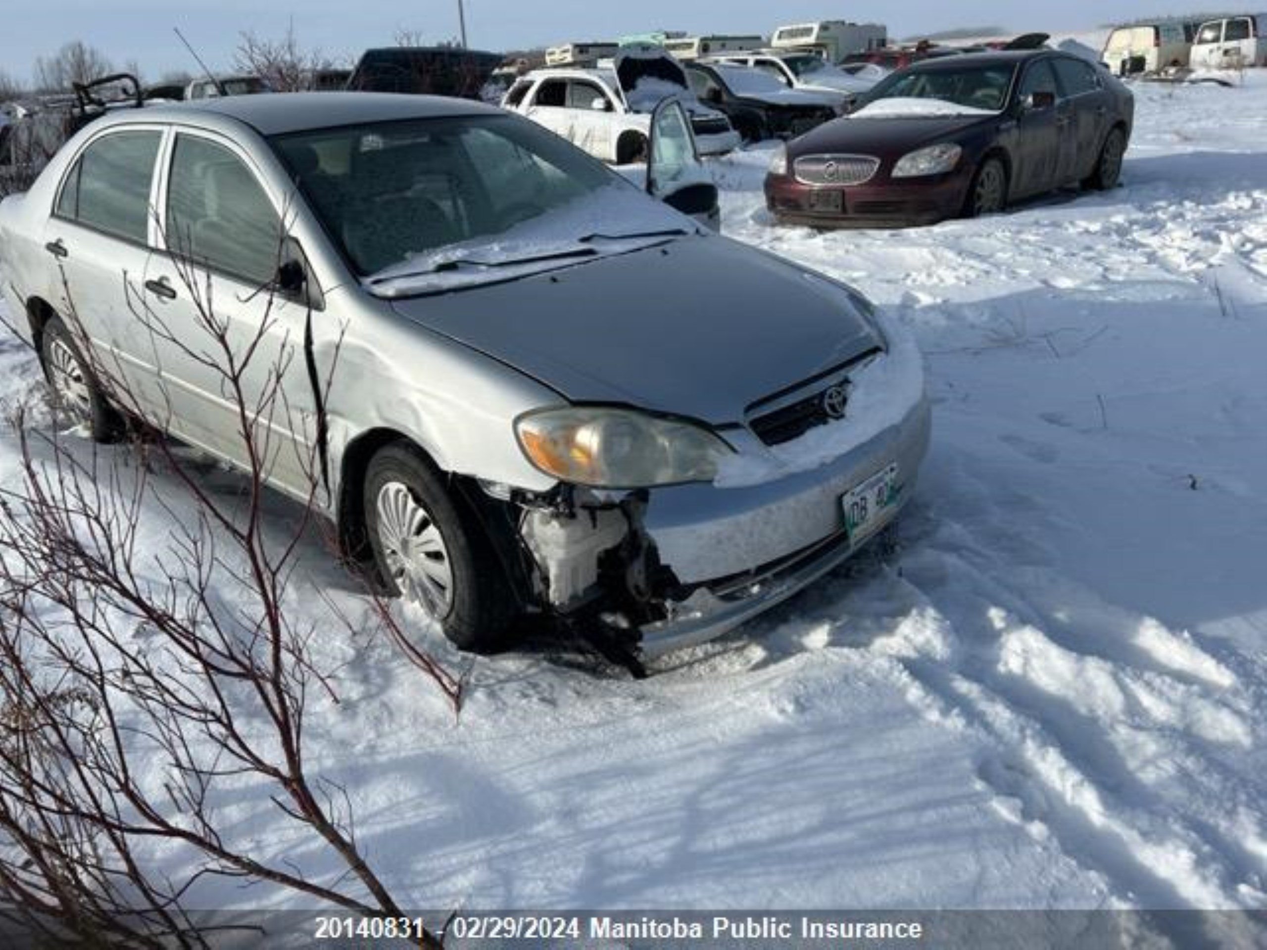 TOYOTA COROLLA 2008 2t1br32e88c868953