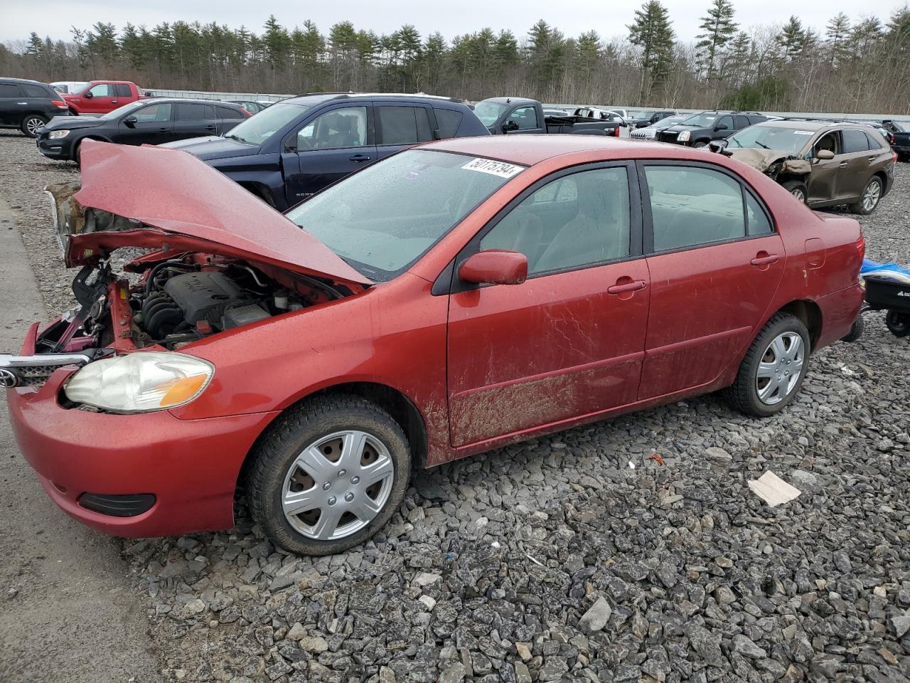 TOYOTA COROLLA 2008 2t1br32e88c877376