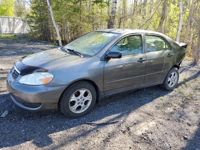 TOYOTA COROLLA 2006 2t1br32e96c639601