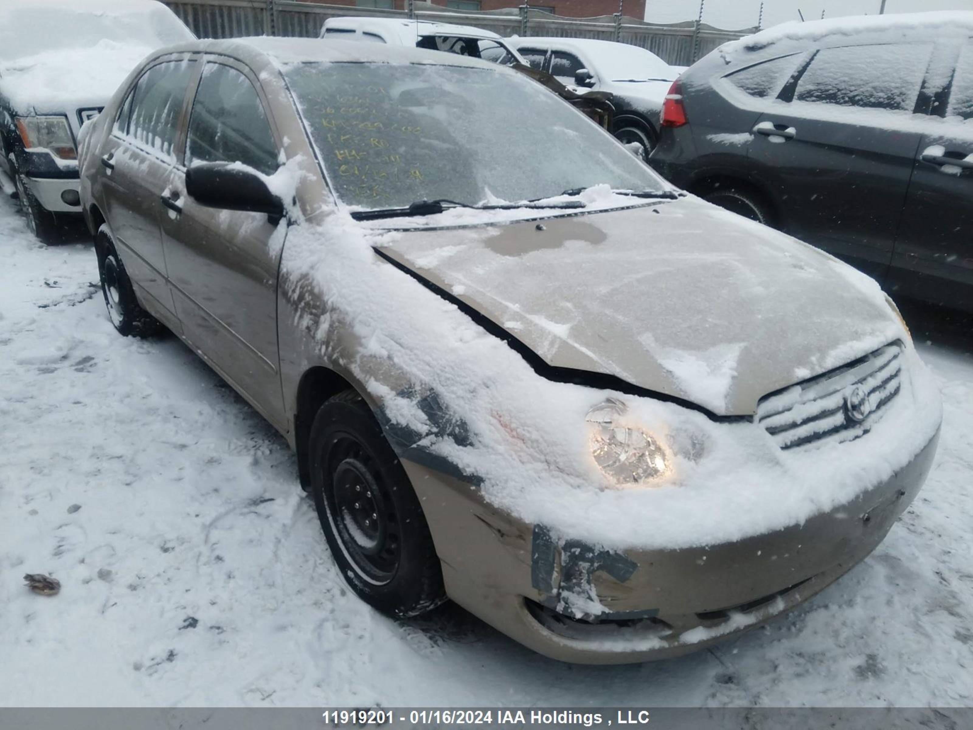 TOYOTA COROLLA 2006 2t1br32ex6c636447