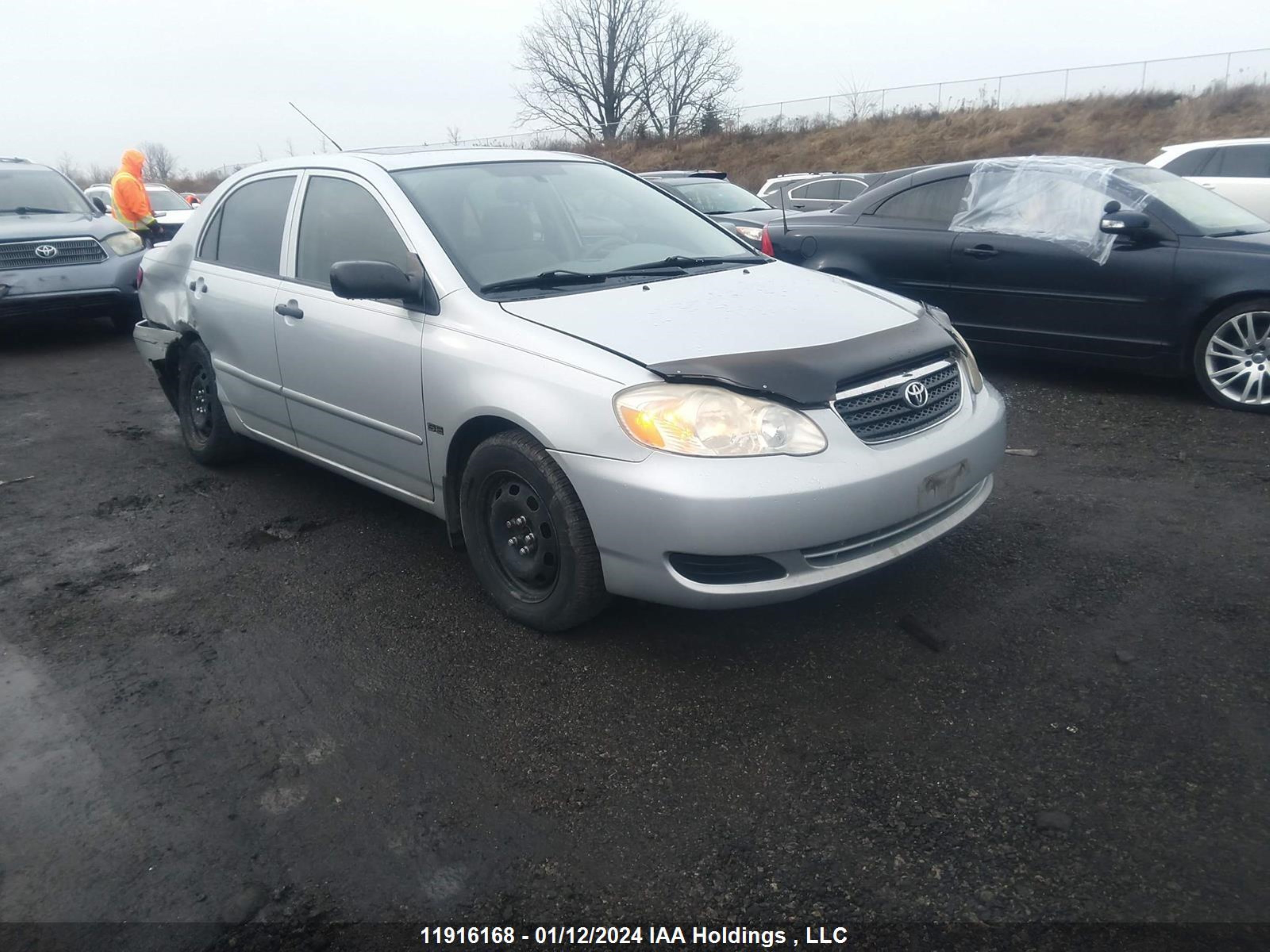 TOYOTA COROLLA 2006 2t1br32ex6c691321