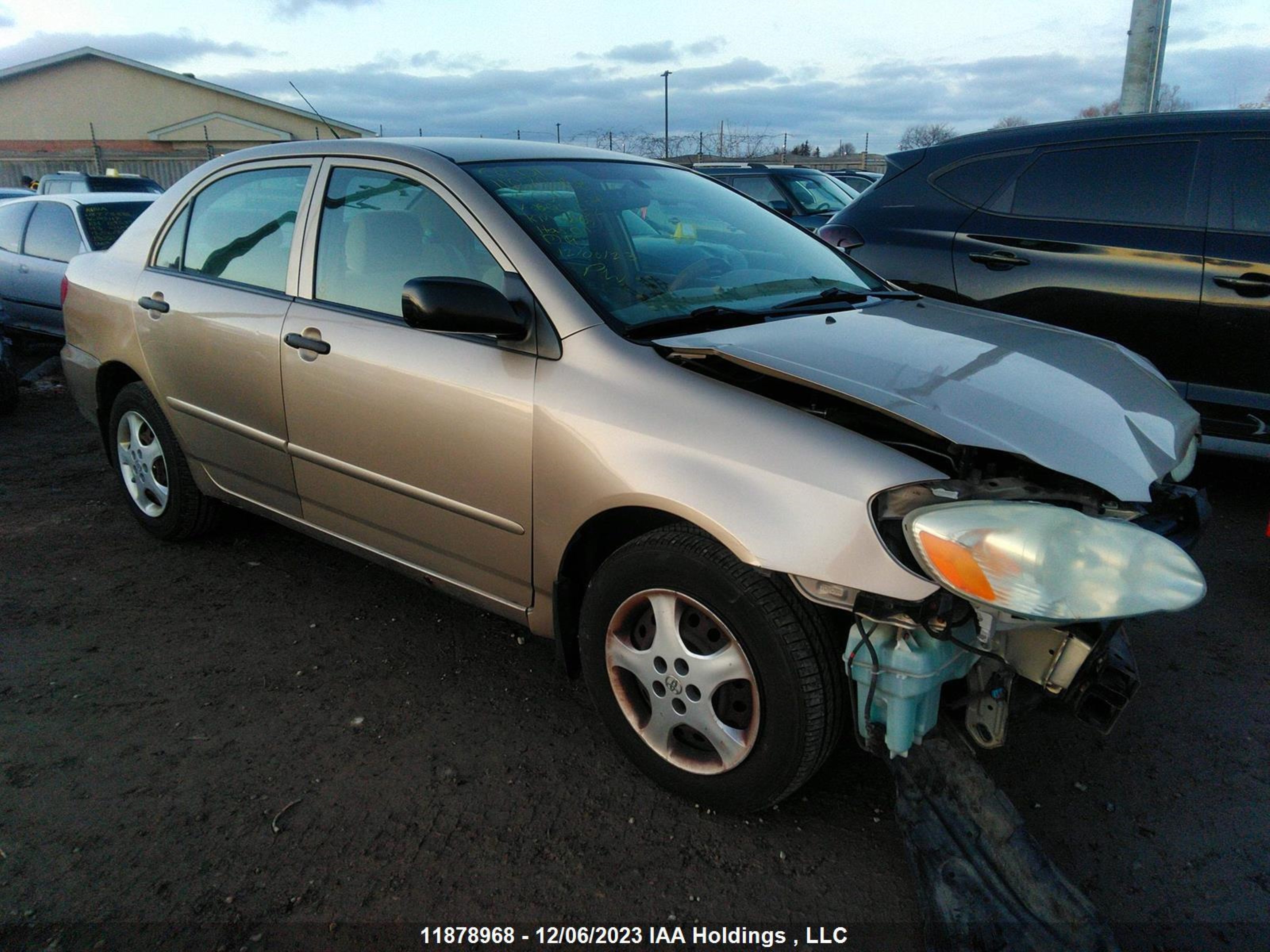 TOYOTA COROLLA 2006 2t1br32ex6c695482