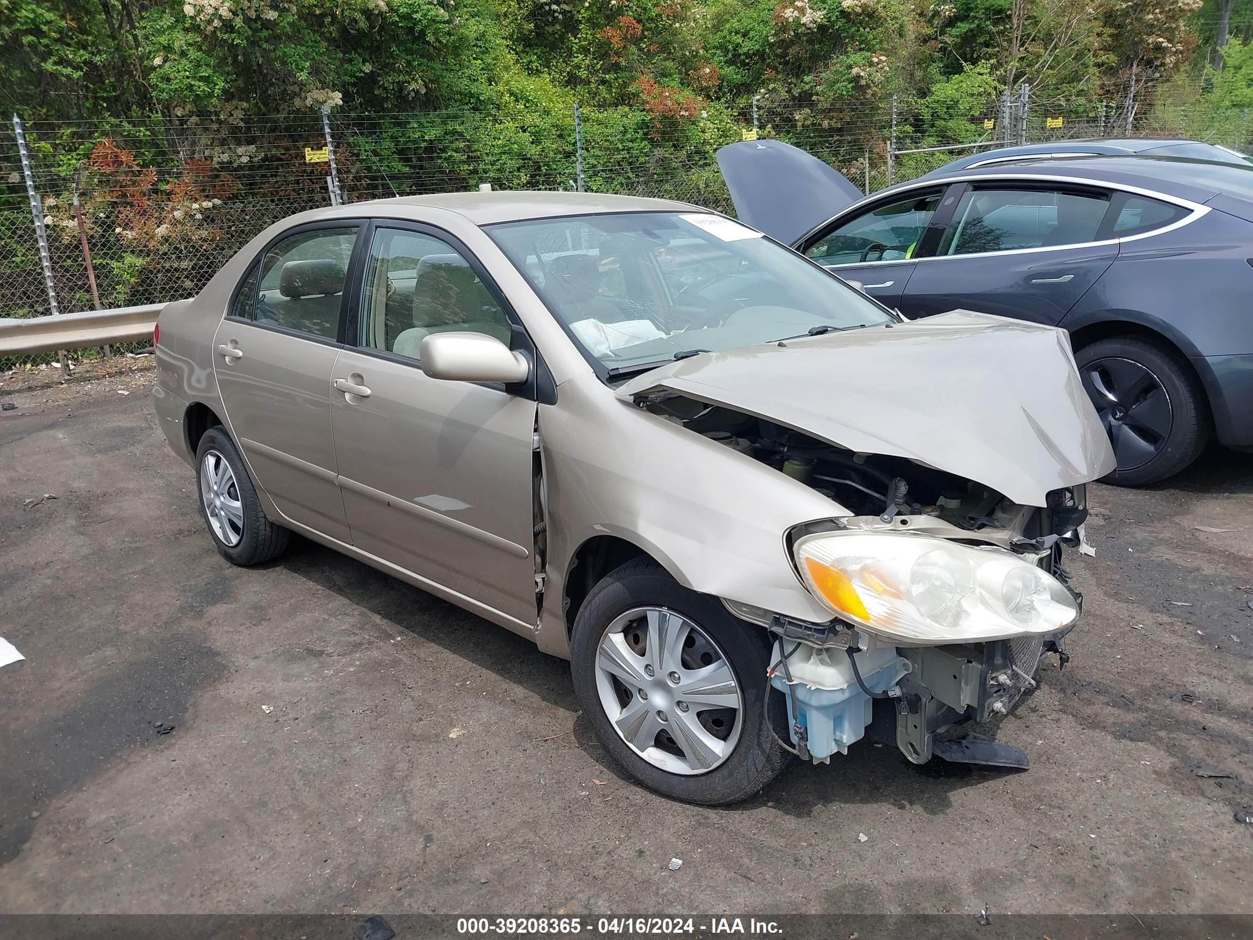 TOYOTA COROLLA 2004 2t1br38e24c183848