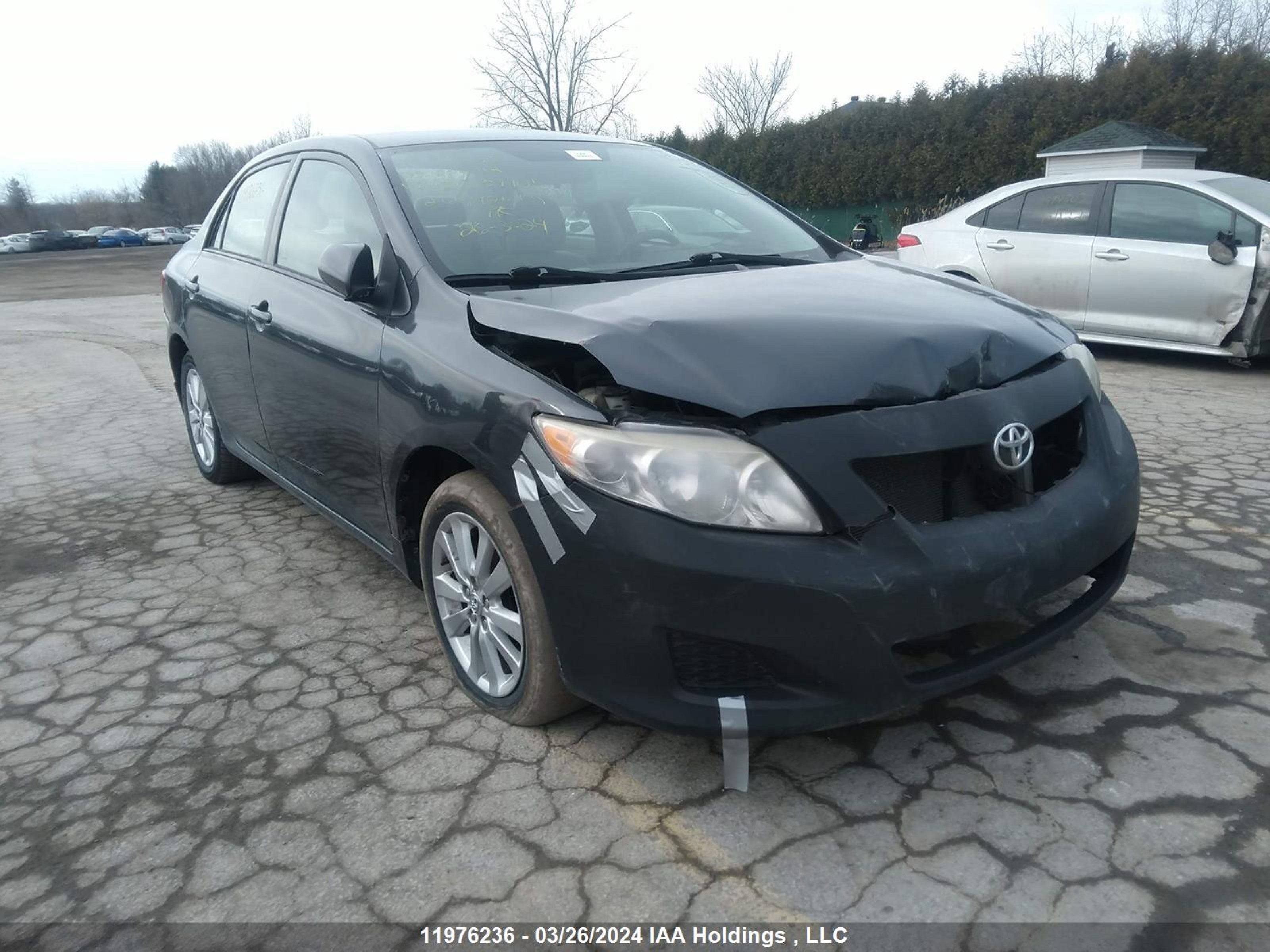 TOYOTA COROLLA 2009 2t1bu40e09c039125