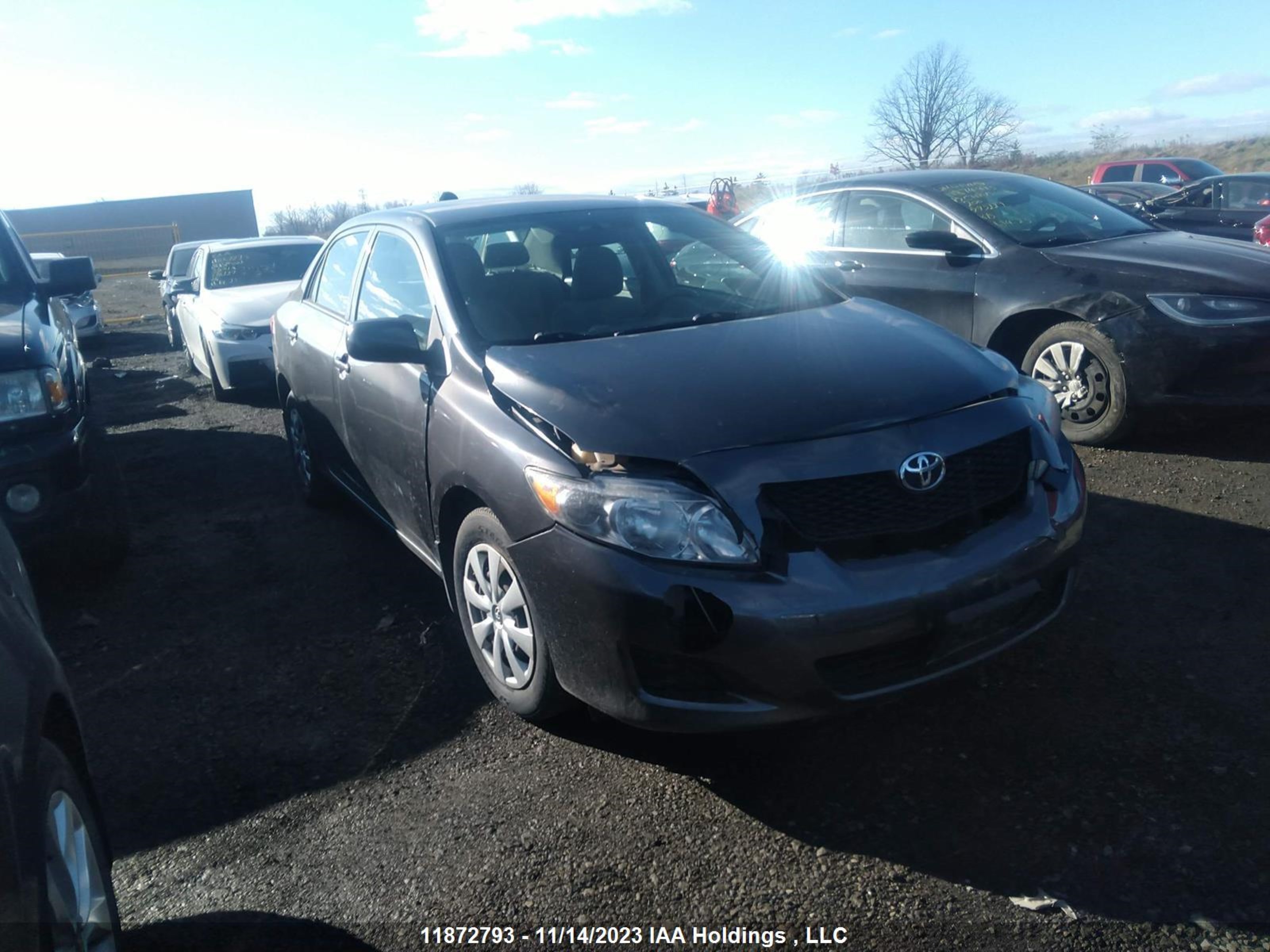 TOYOTA COROLLA 2009 2t1bu40e09c181619