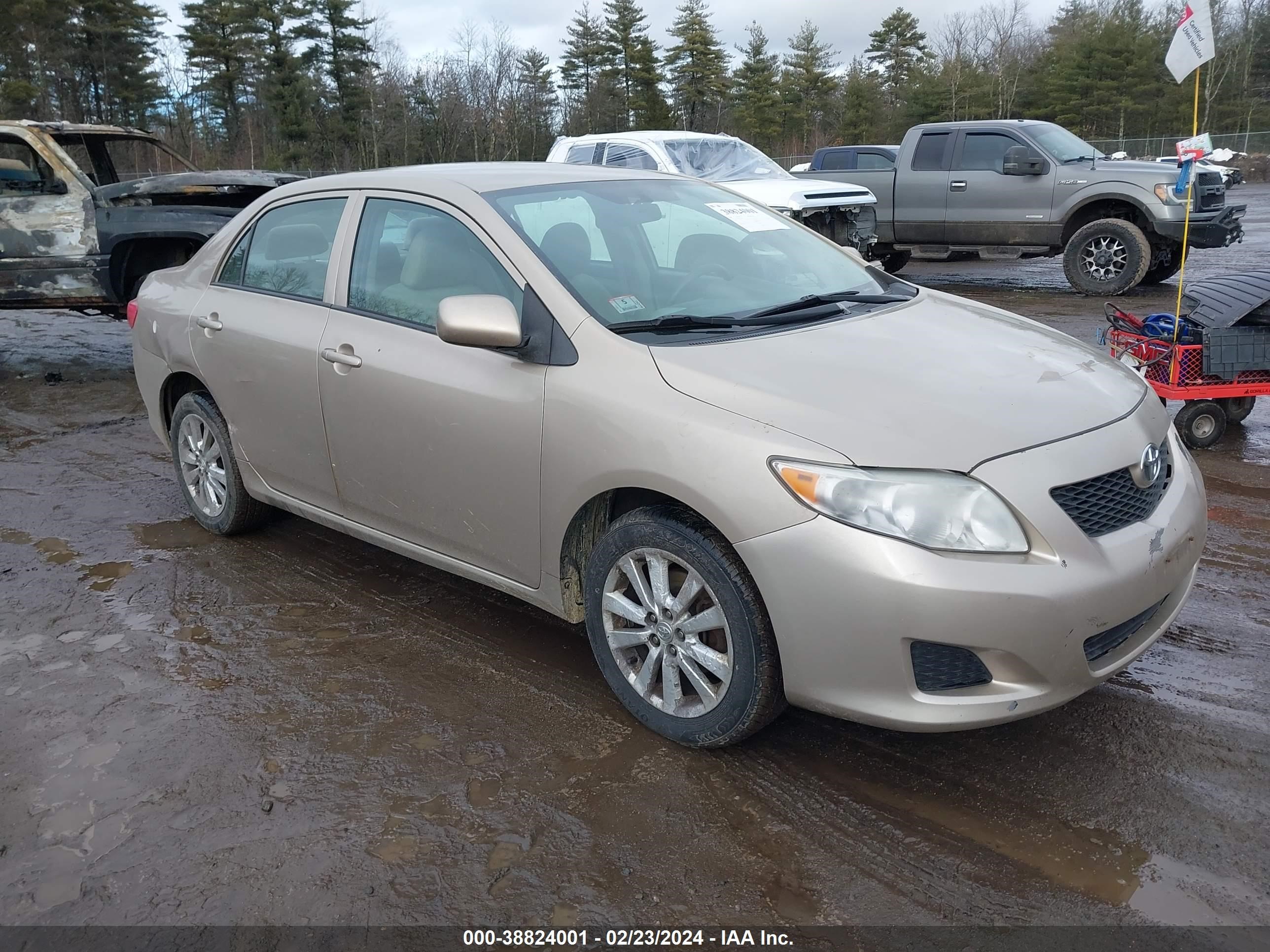 TOYOTA COROLLA 2009 2t1bu40e19c045810