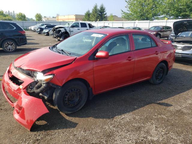 TOYOTA COROLLA BA 2009 2t1bu40e29c013433