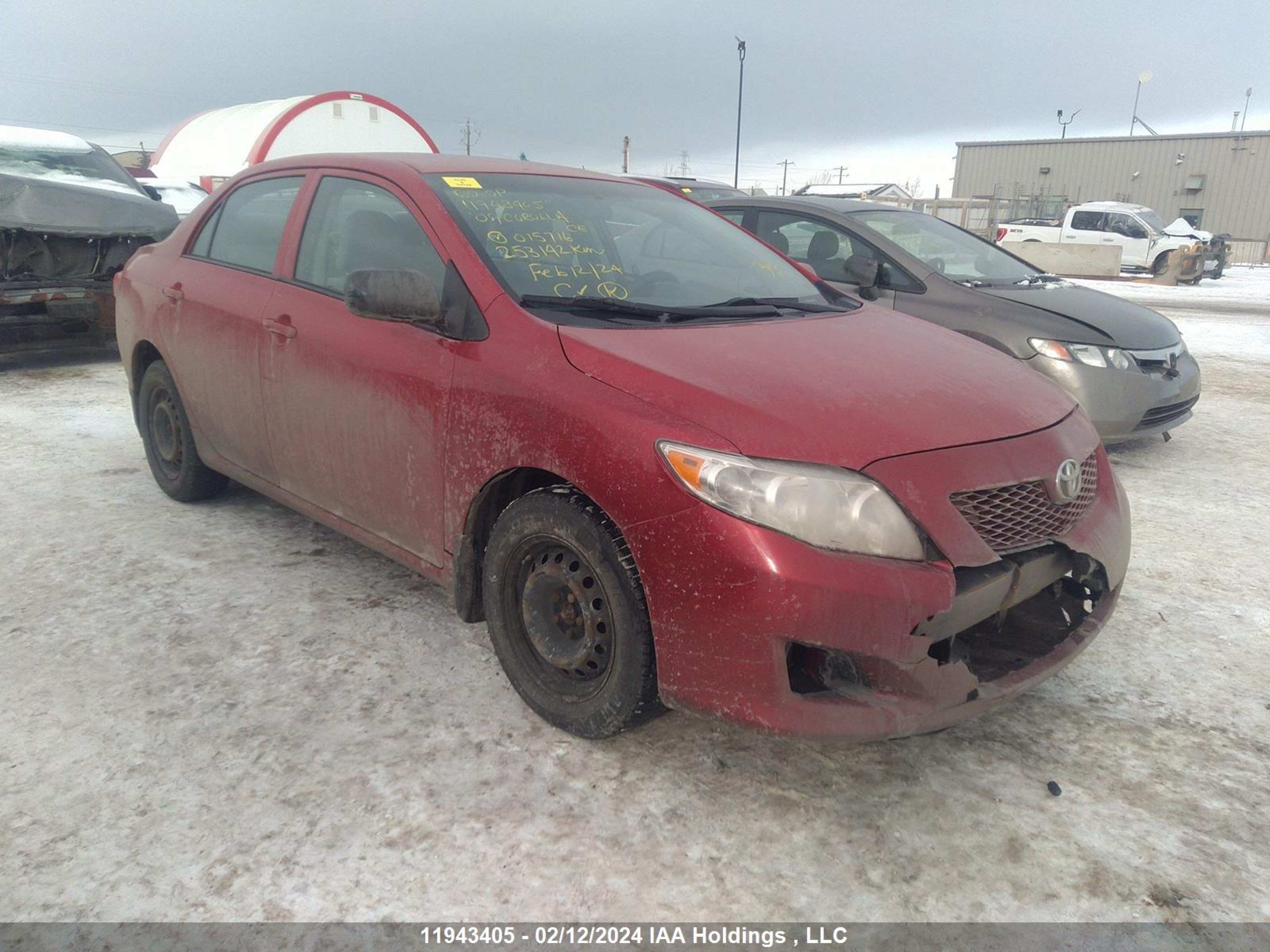 TOYOTA COROLLA 2009 2t1bu40e29c015716