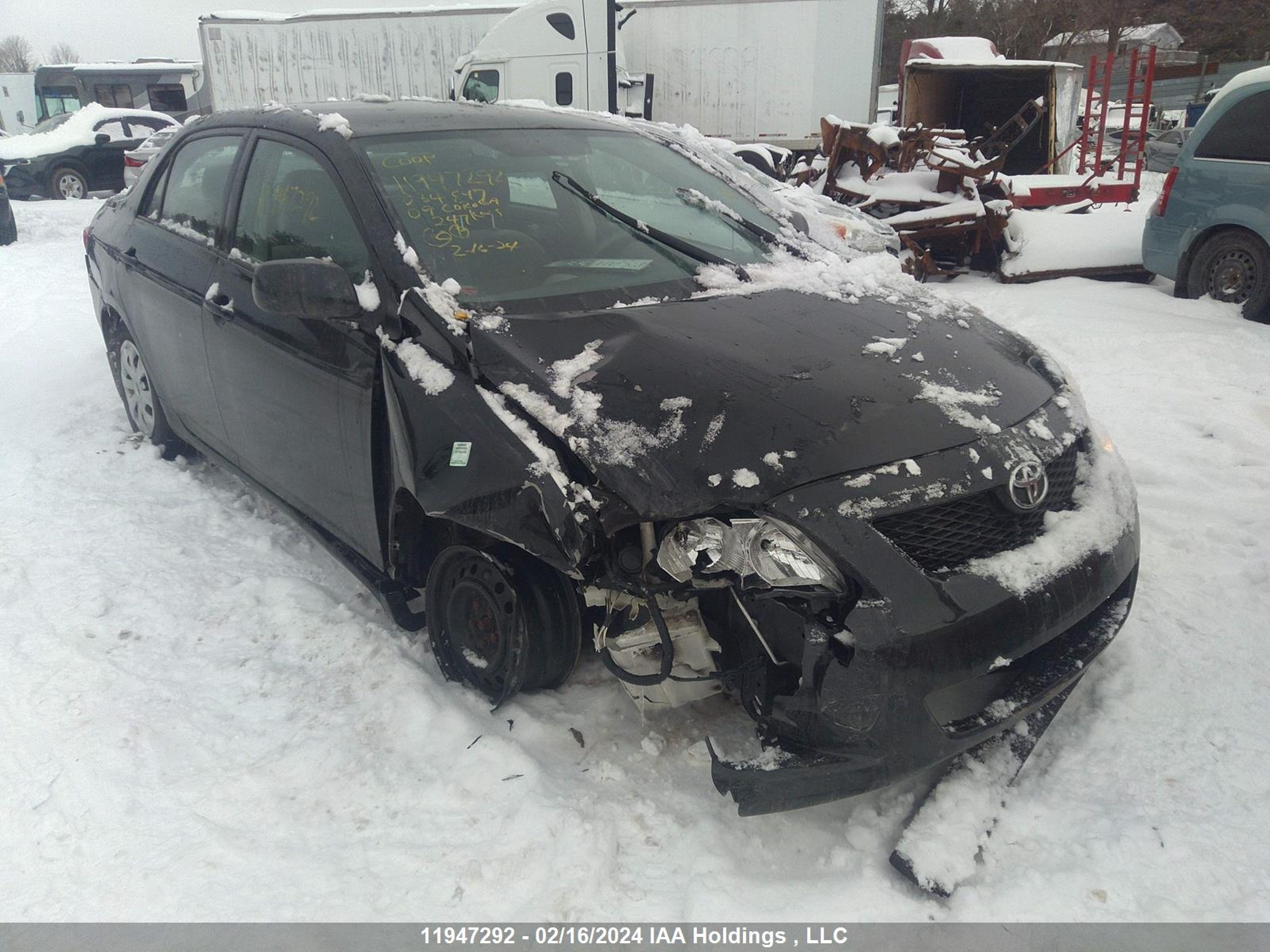 TOYOTA COROLLA 2009 2t1bu40e29c034847