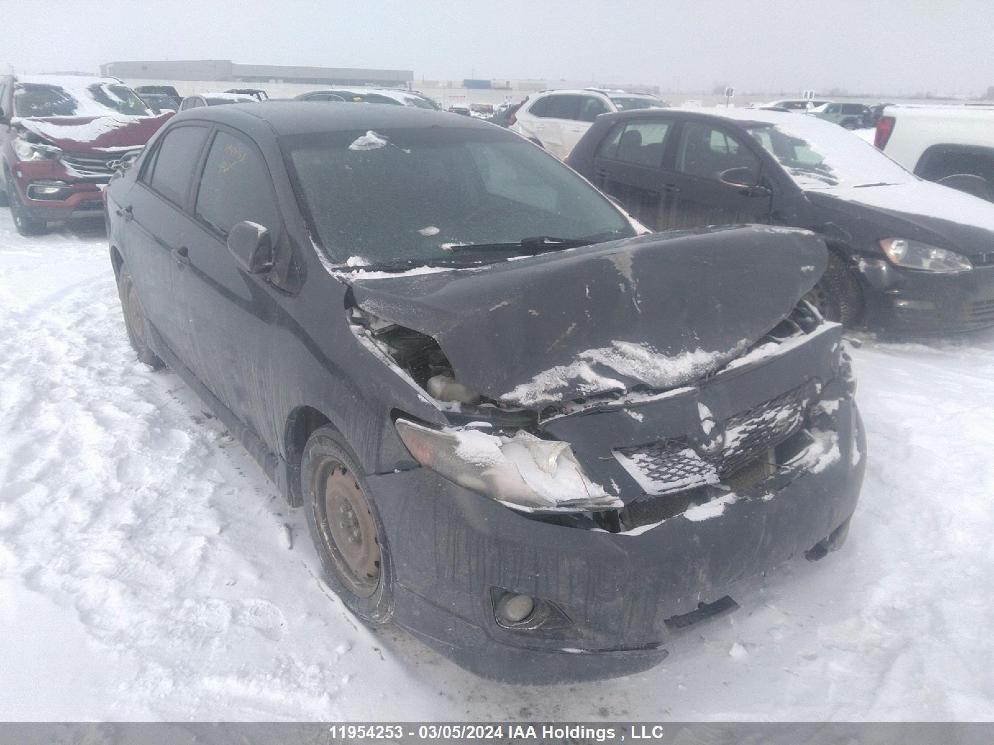 TOYOTA COROLLA 2009 2t1bu40e69c073425