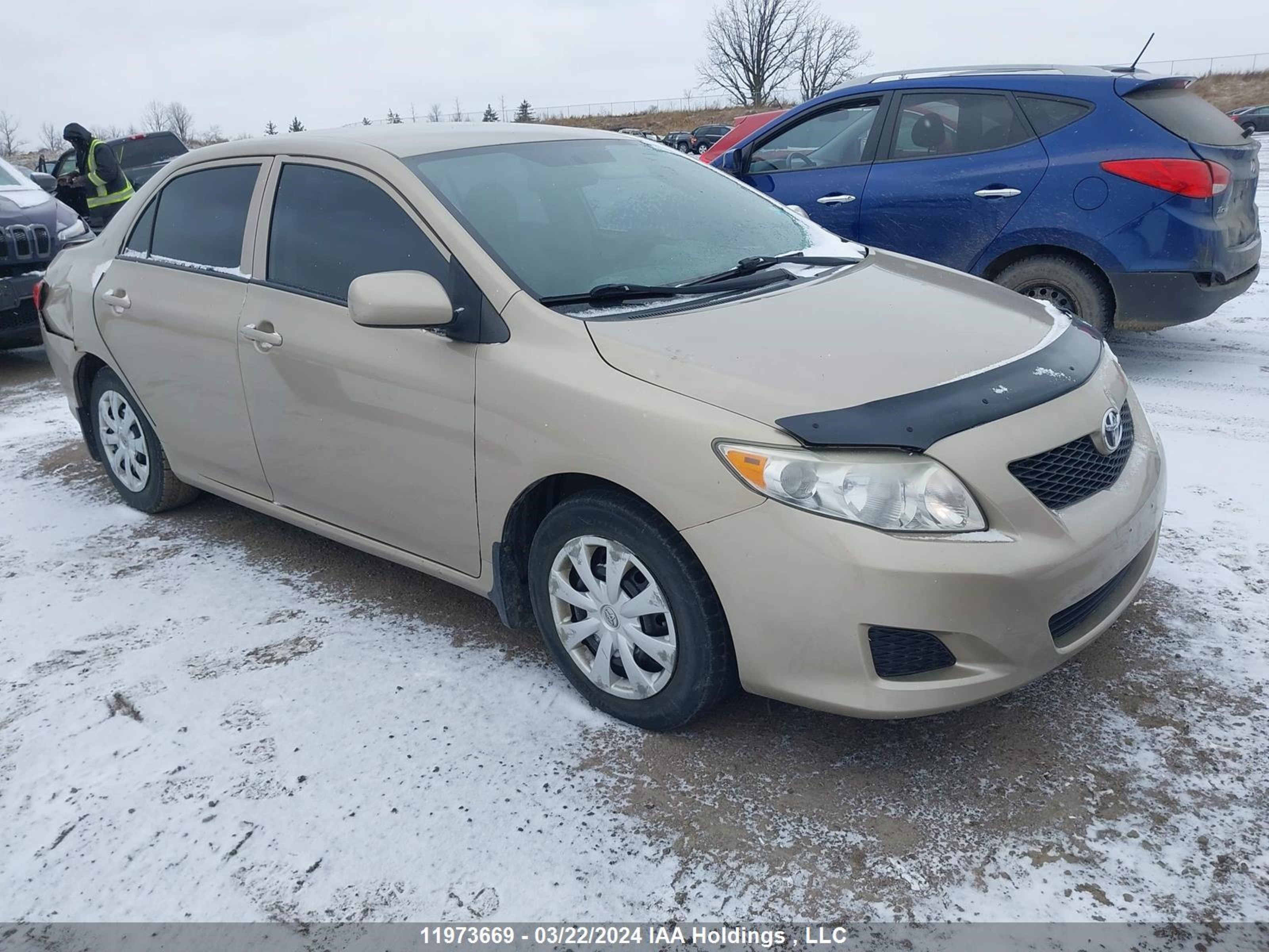 TOYOTA COROLLA 2009 2t1bu40e69c083551