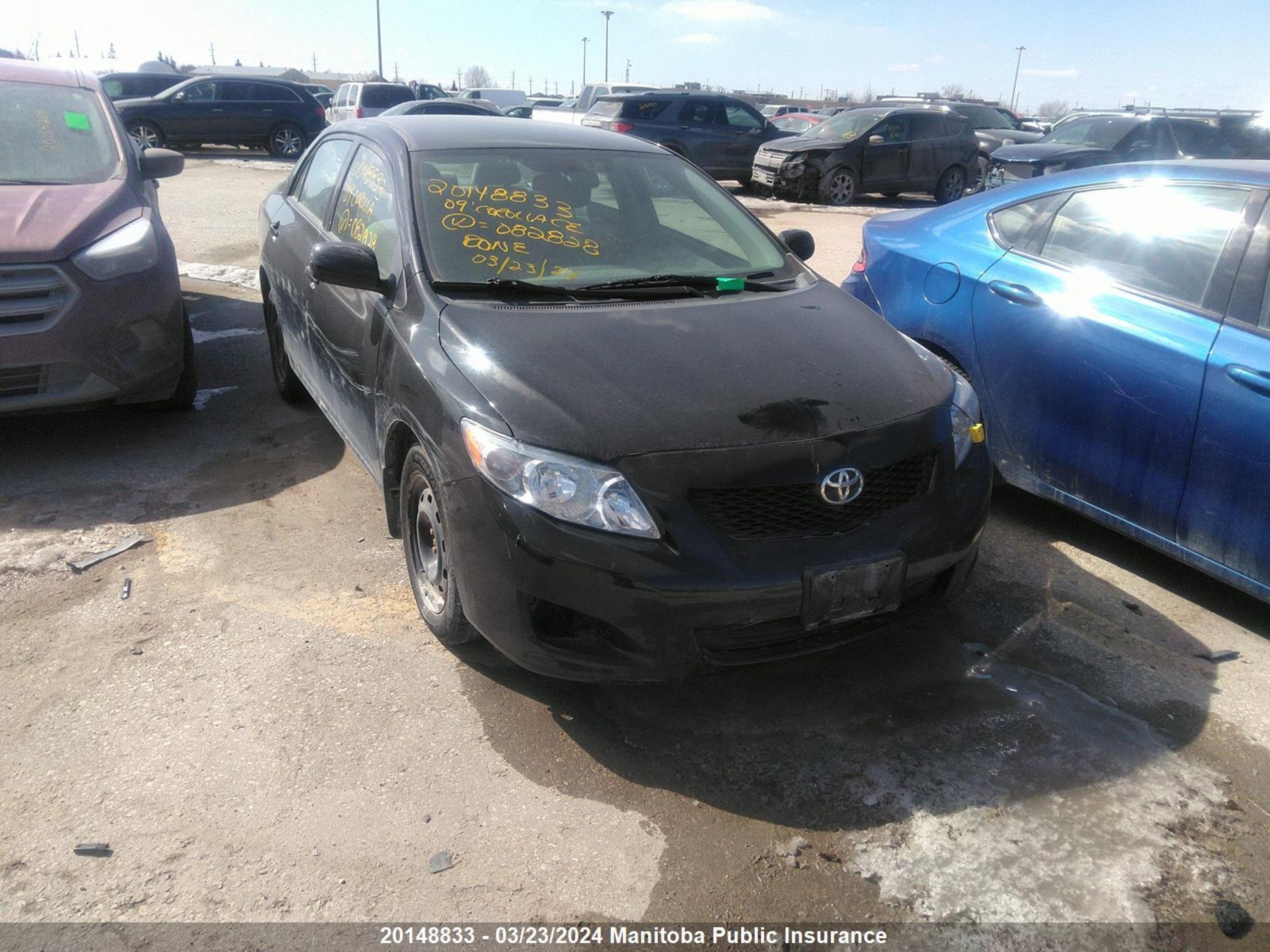 TOYOTA COROLLA 2009 2t1bu40e79c082828